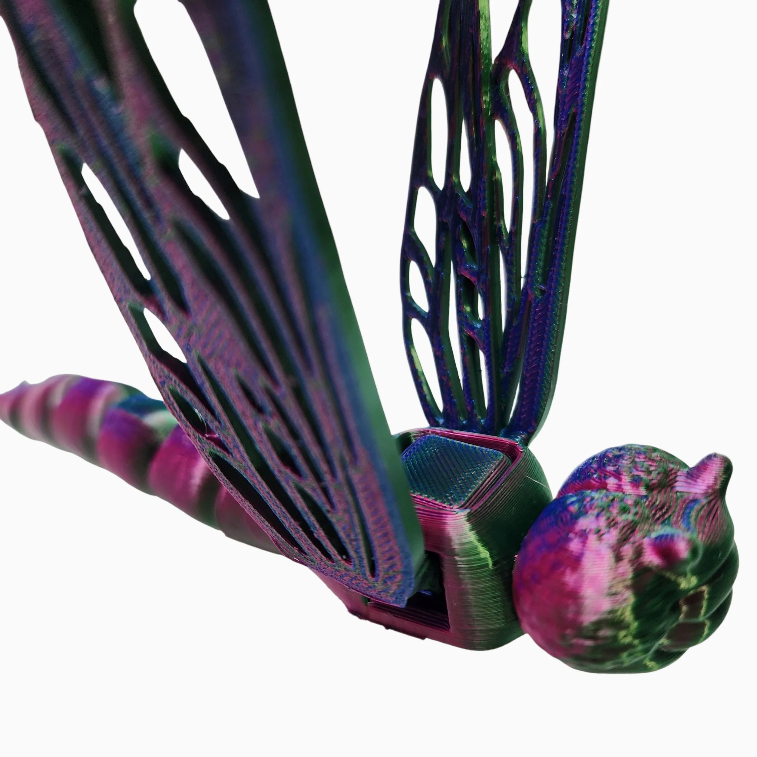 20250710_150456 (1).jpg