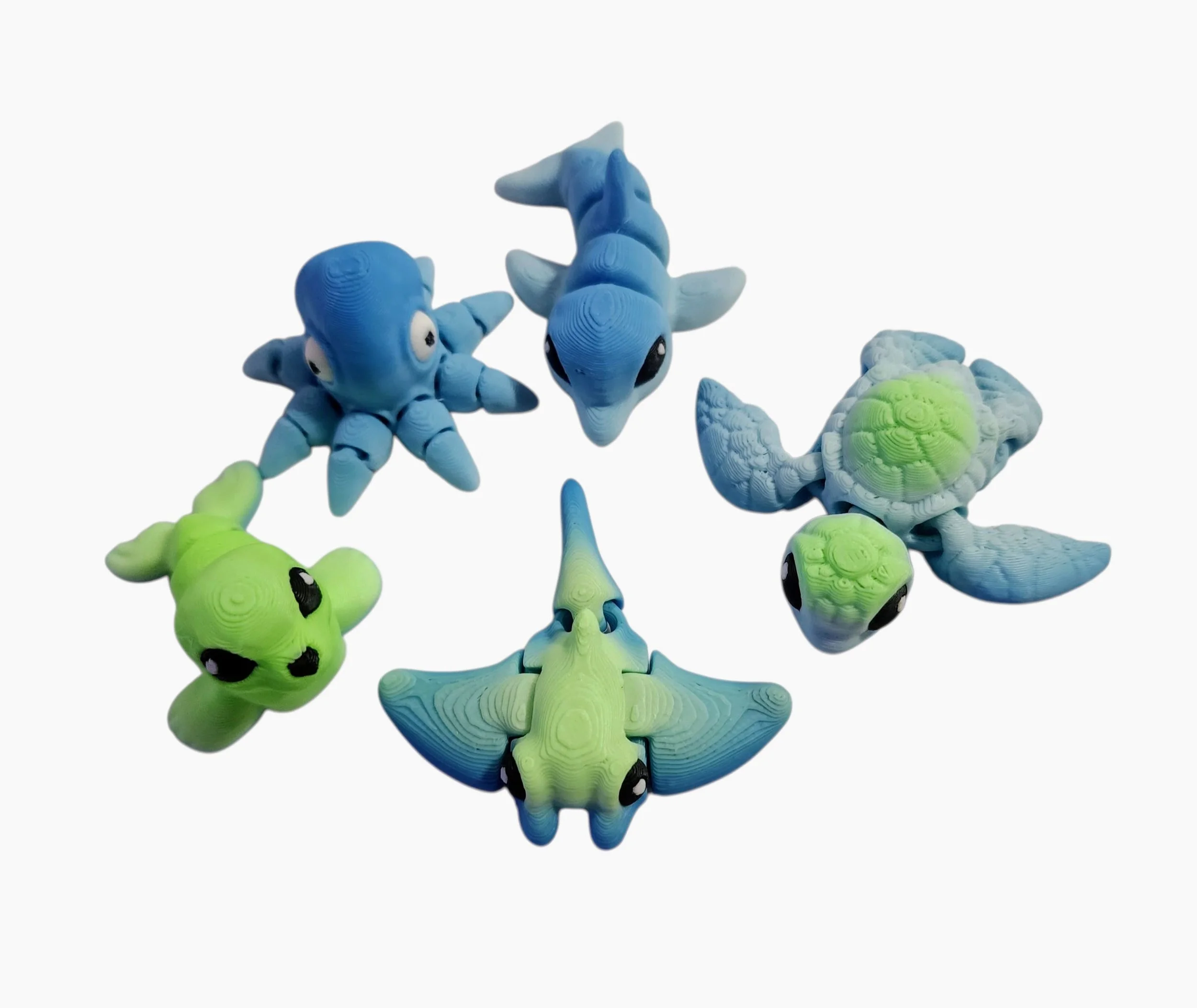 20250814_102611 (1).jpg