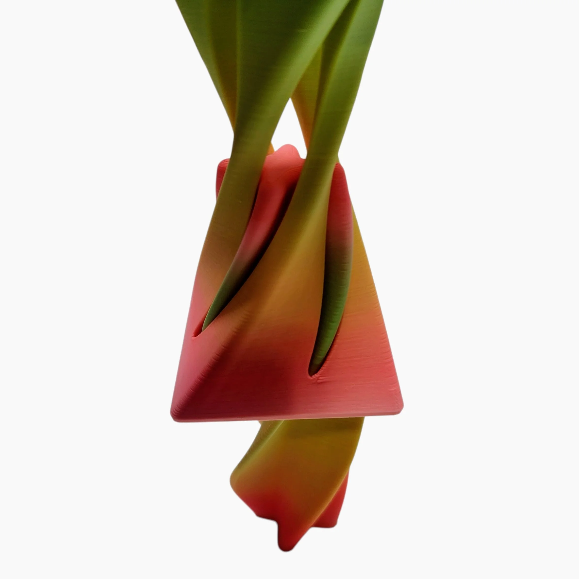 20250709_175617 (1).jpg