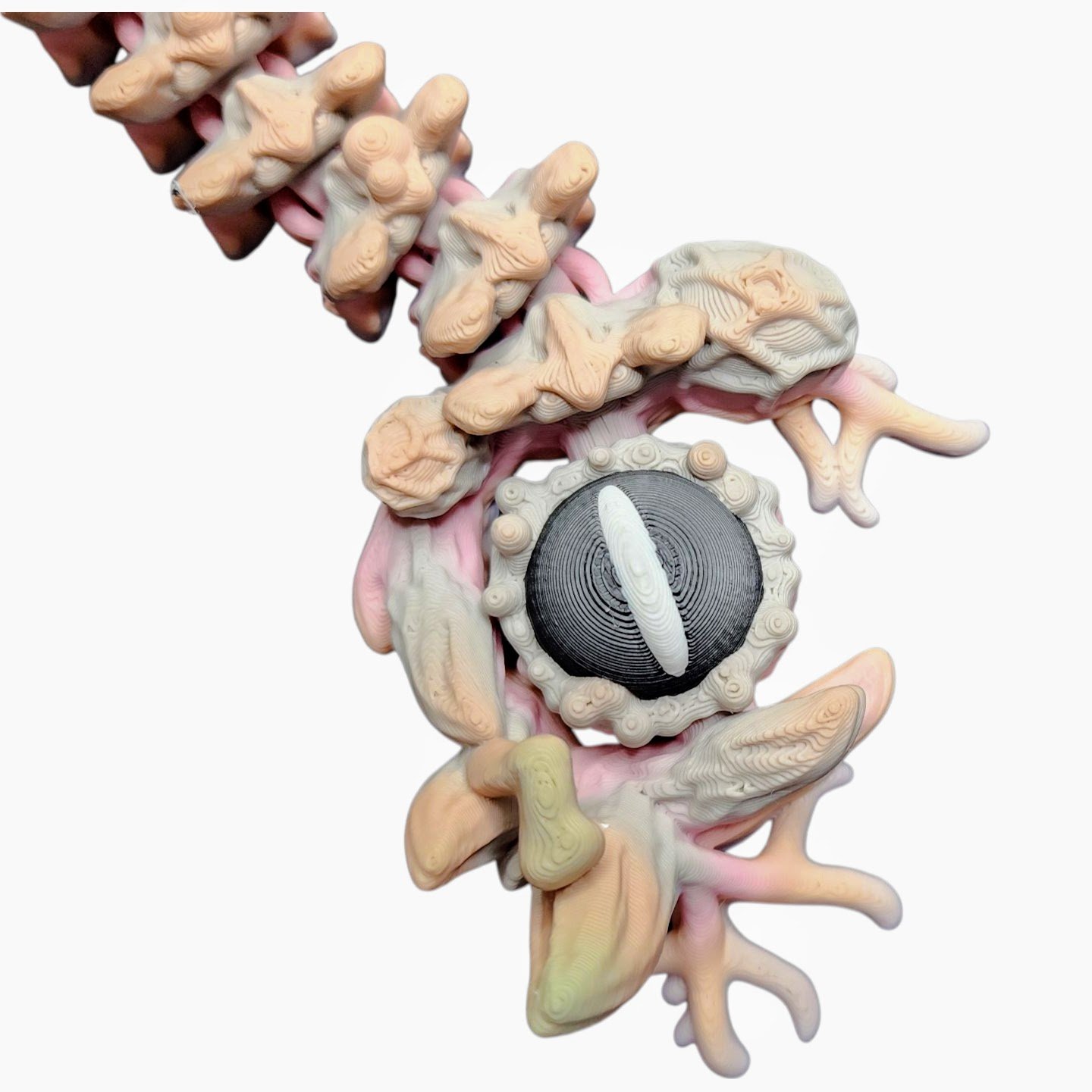 20250610_233946 (1).jpg