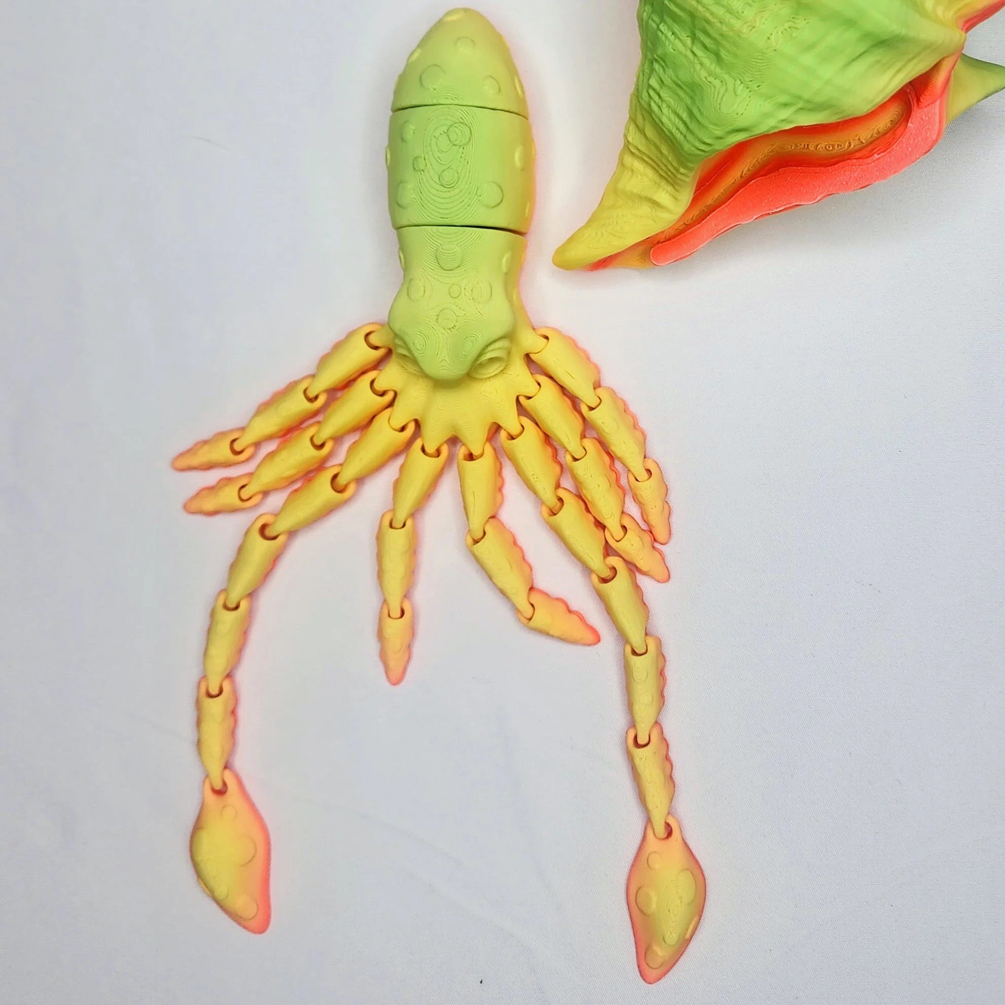 20250416_191155 (1).jpg