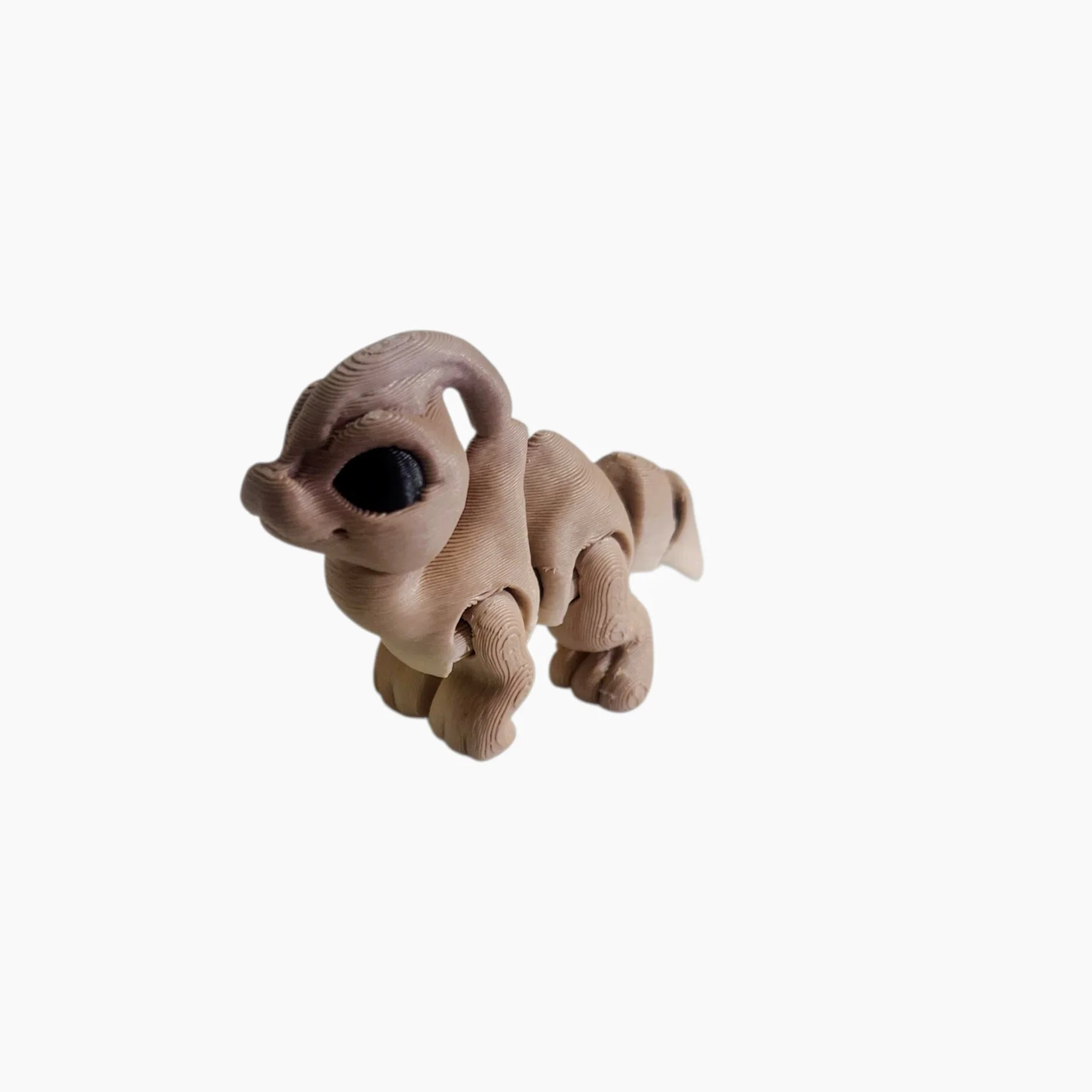 20250929_170432 (1).jpg