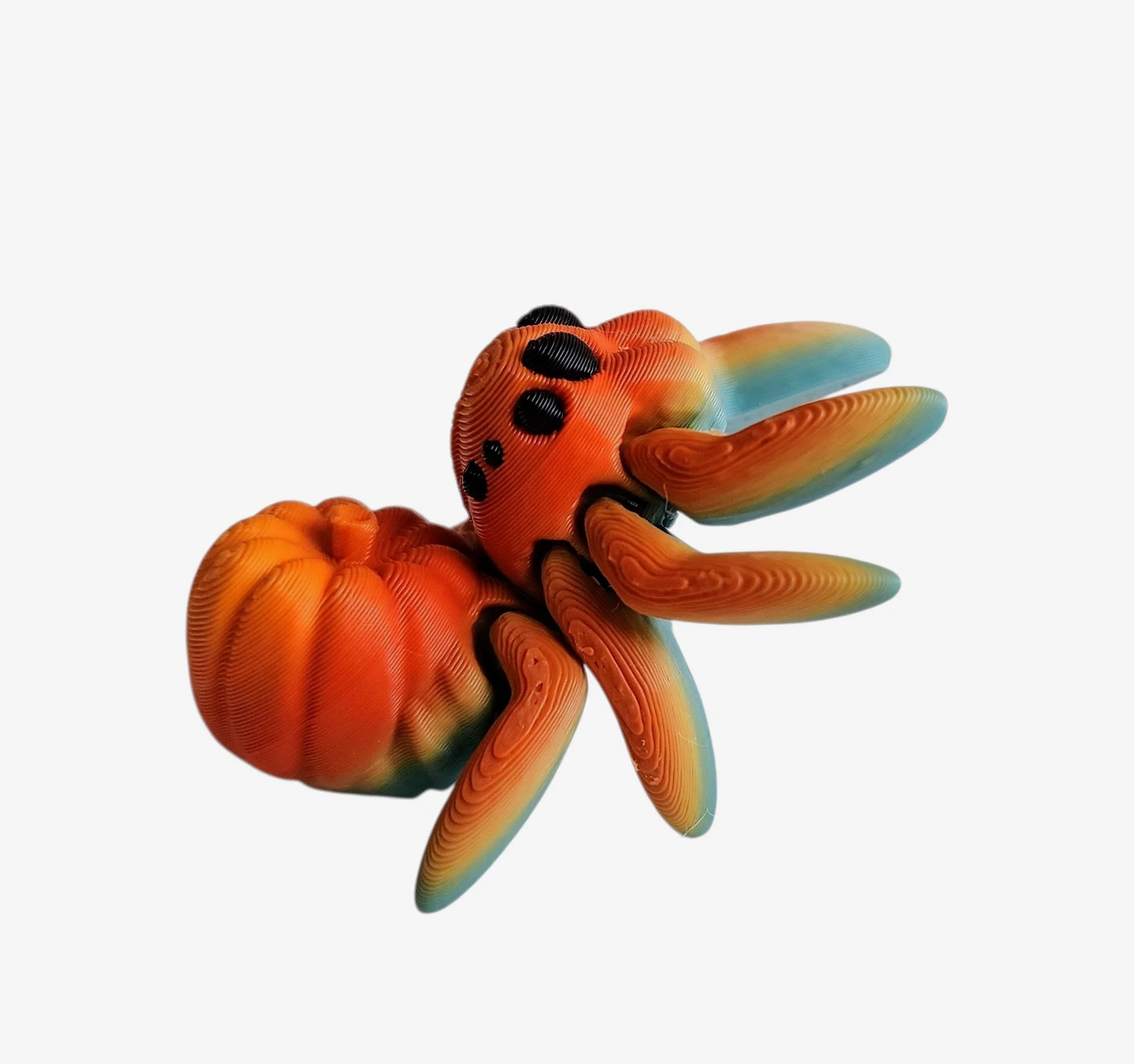 IMG_20250829_091011 (2).jpg