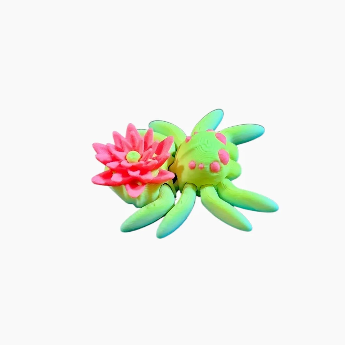 20260202_140402 (1) - Copy.jpg