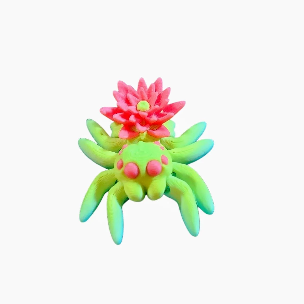 20260202_140345 (1).jpg