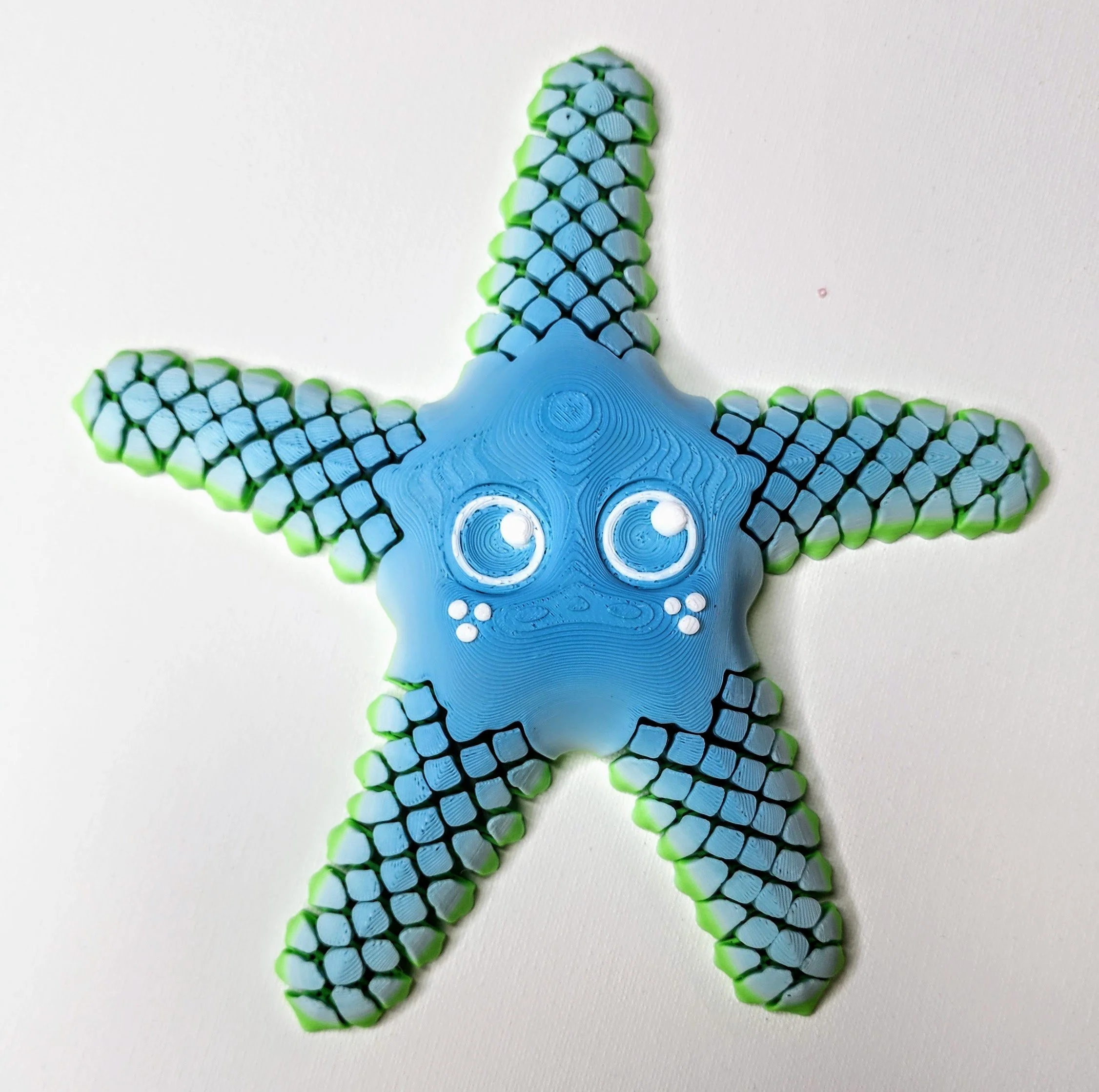 Sandy the Sea Star