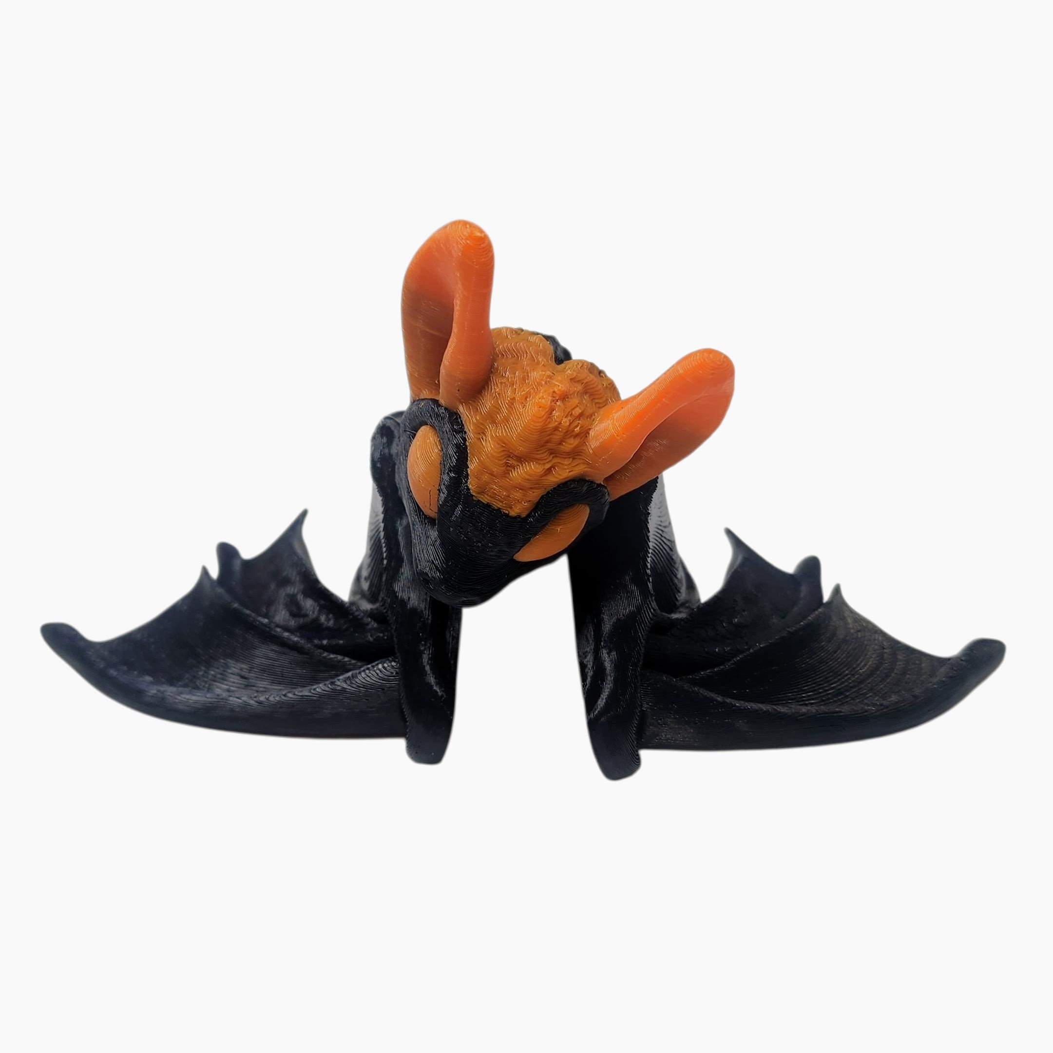 20250710_130245 (1).jpg