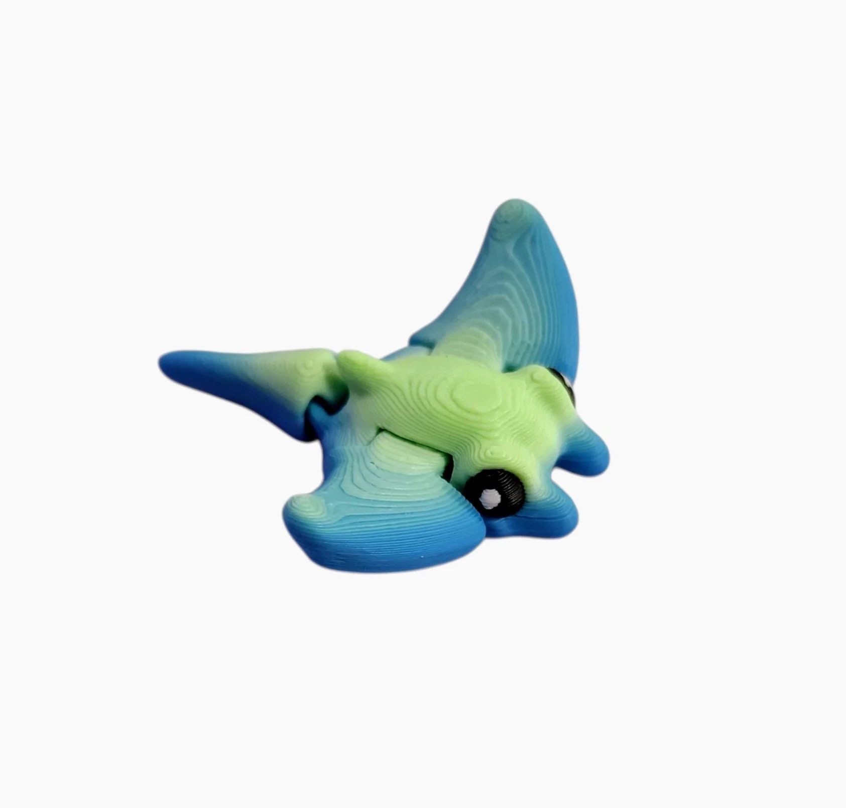 20250814_101415 (1).jpg