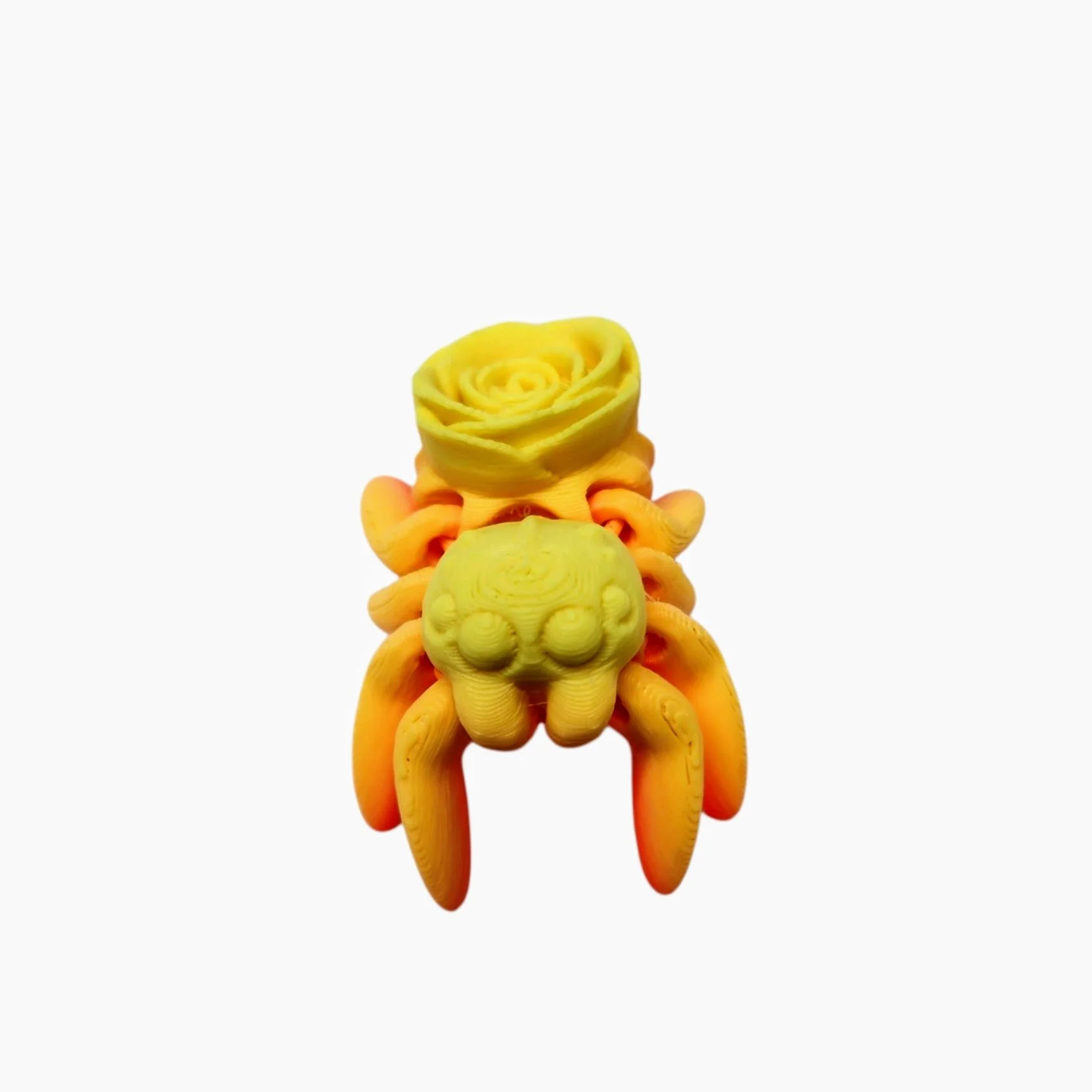 20250709_084235 (1).jpg