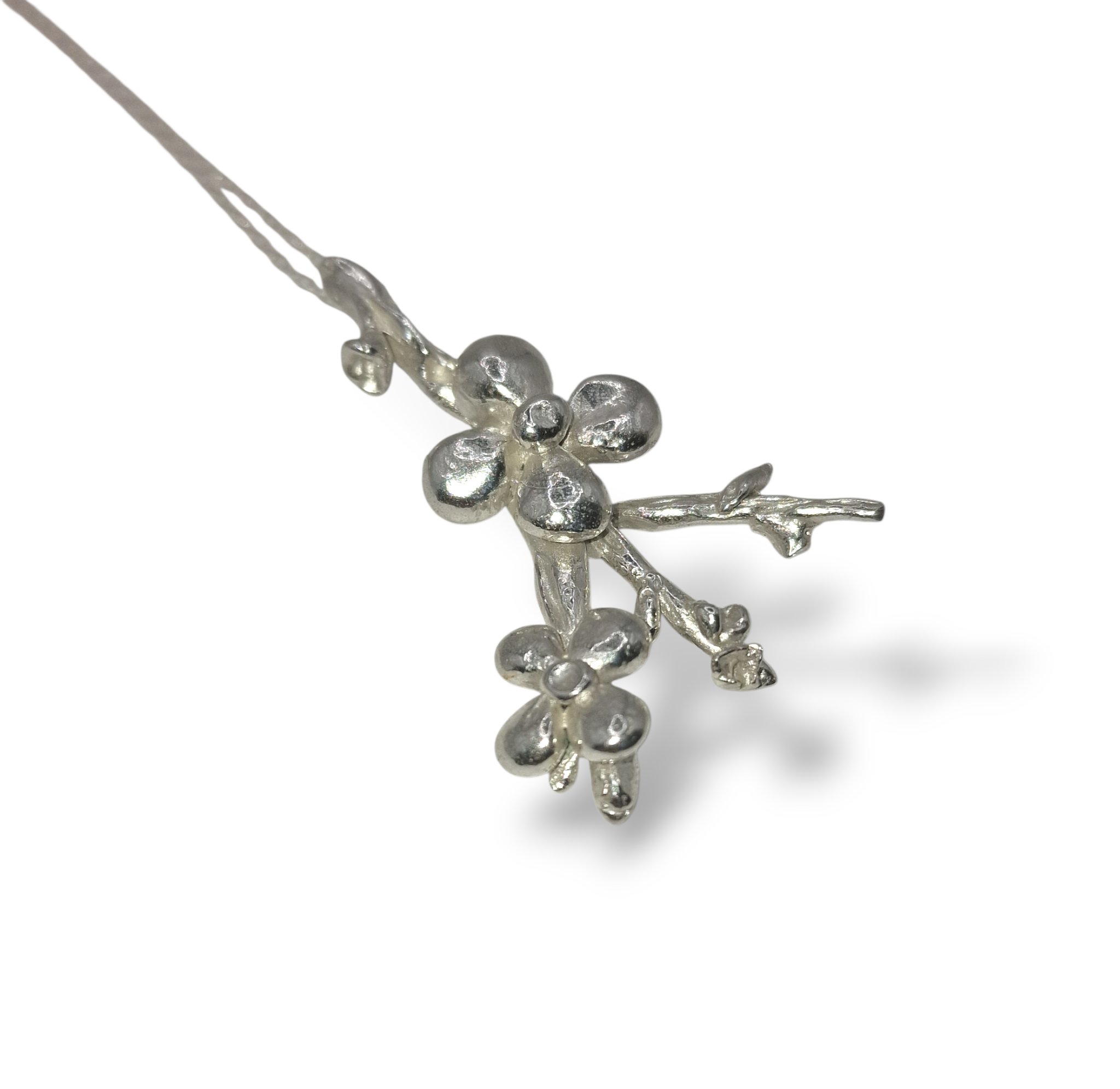 20260214_113711-Photoroom (1).png