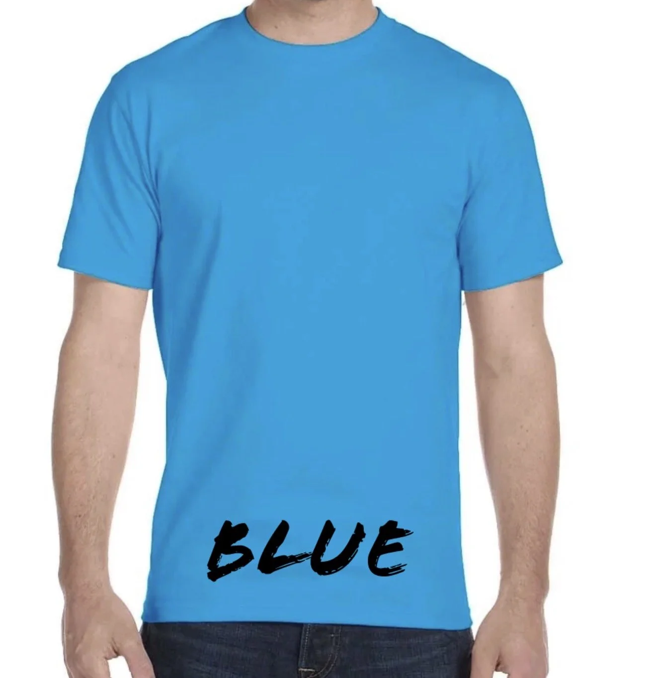 Blue blank.jpg