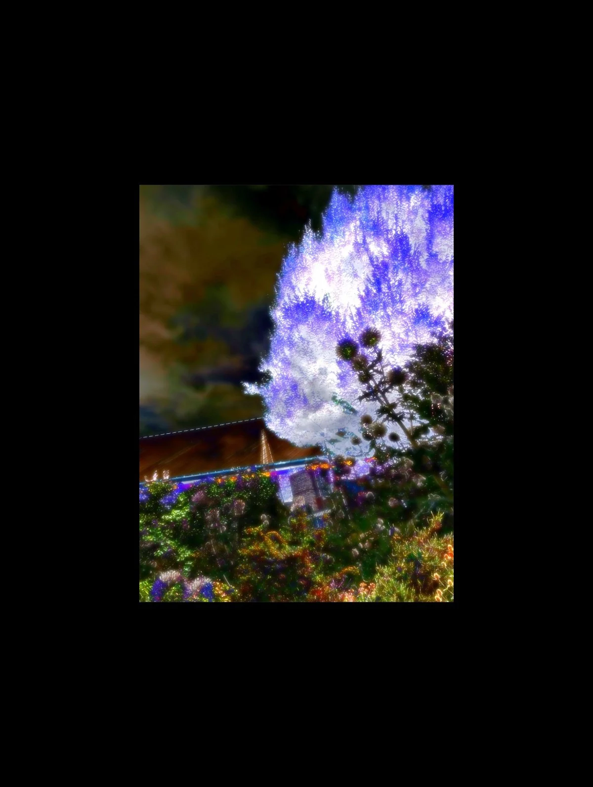 Copy of PXL_20250723_104624717_20250812230645298.jpg