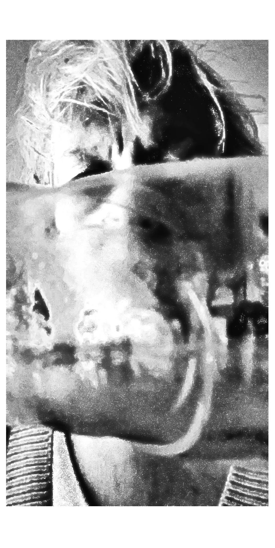 PXL_20250125_003040811.MP (1).jpg