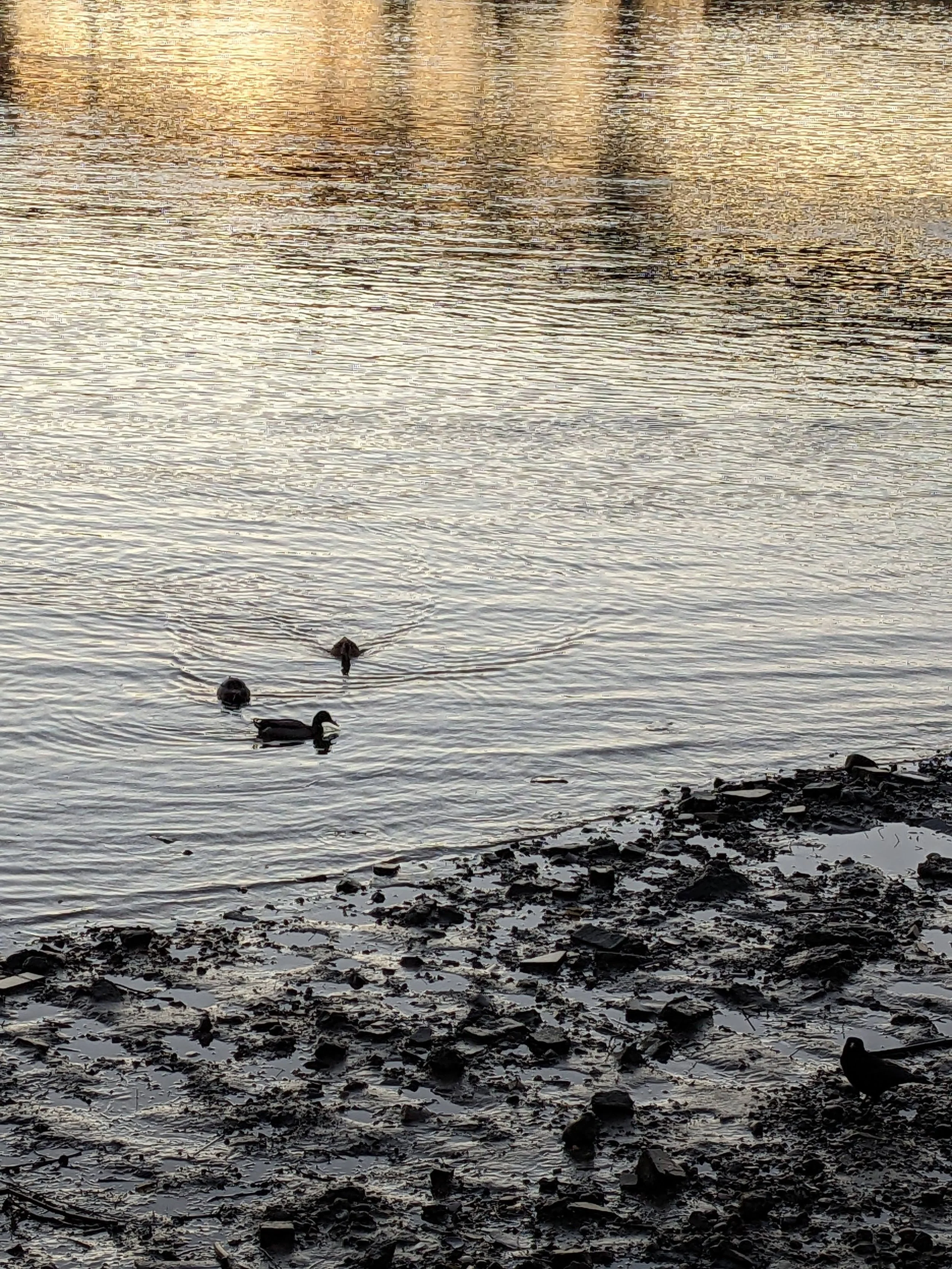 Copy of PXL_20230206_170222417.jpg