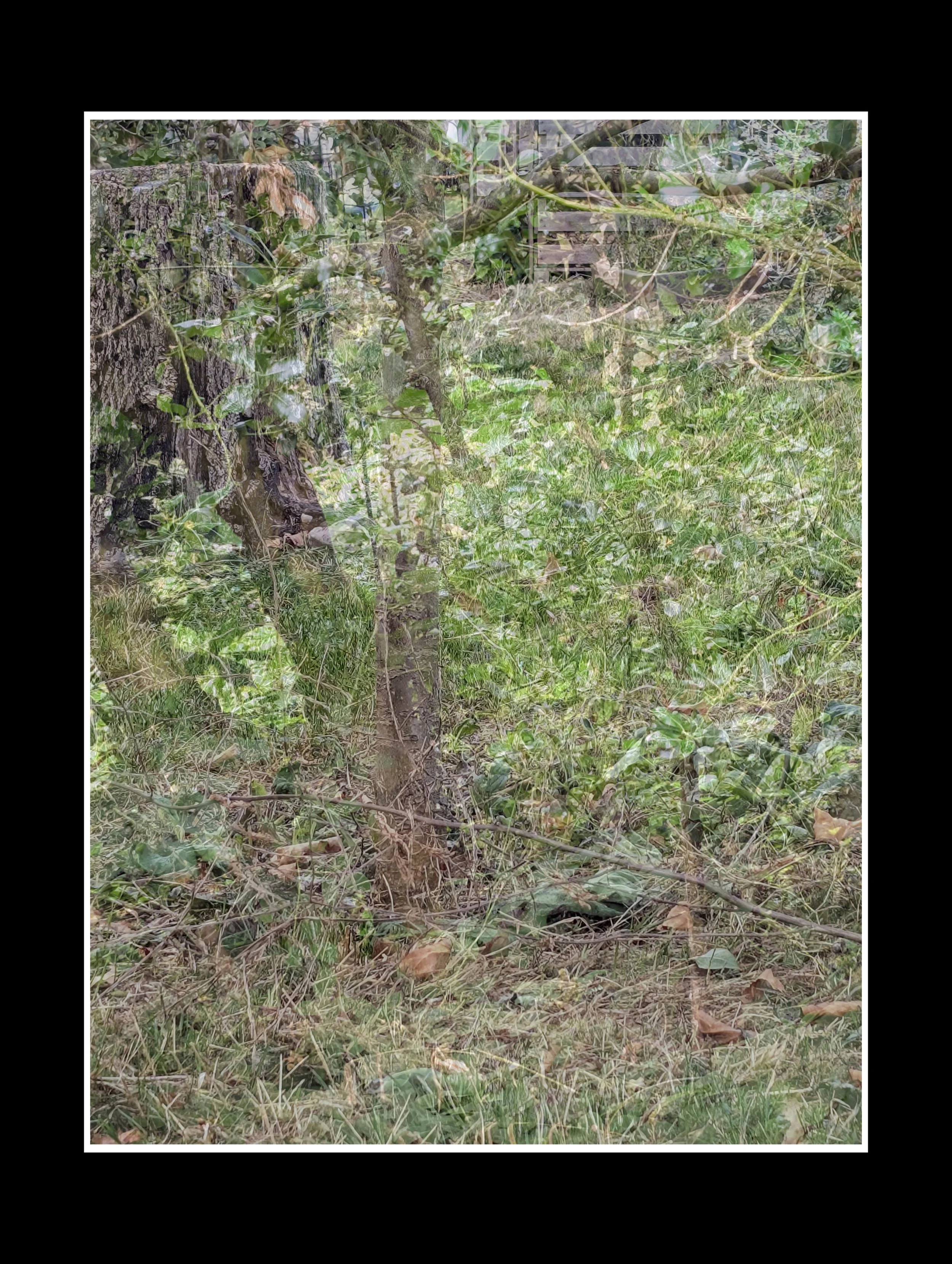 PXL_20250821_143136033 (2).jpg