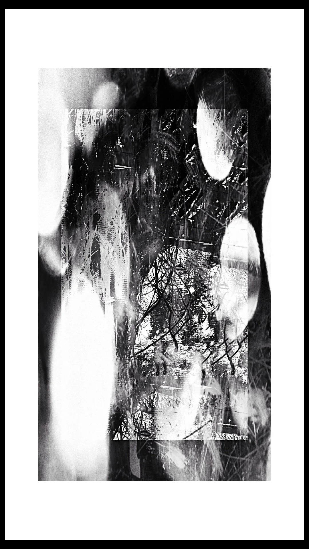 Copy of PXL_20250517_003118167.MP (3)_20250518012245184 (5).jpg