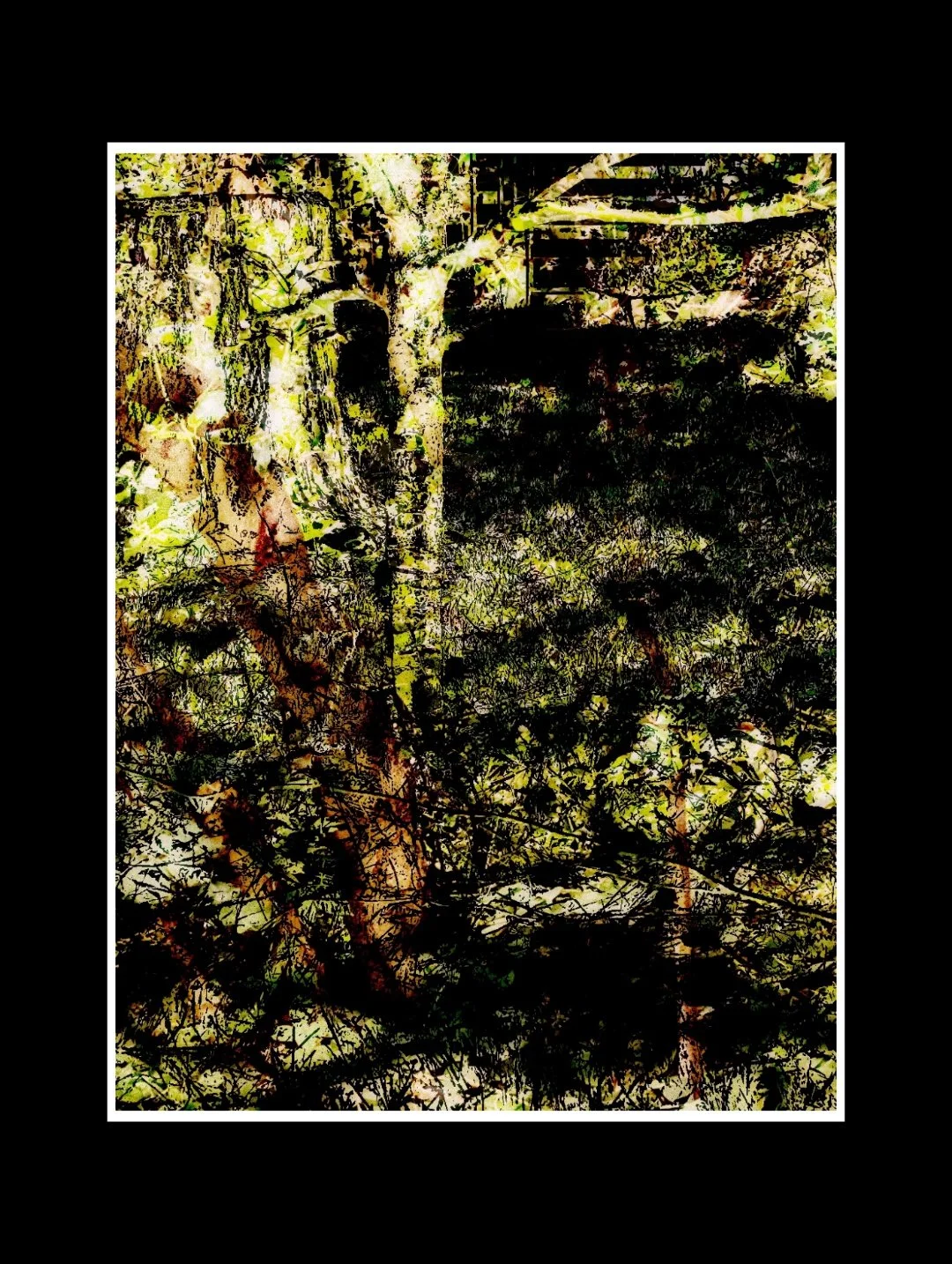 PXL_20250821_143136033 (3).jpg