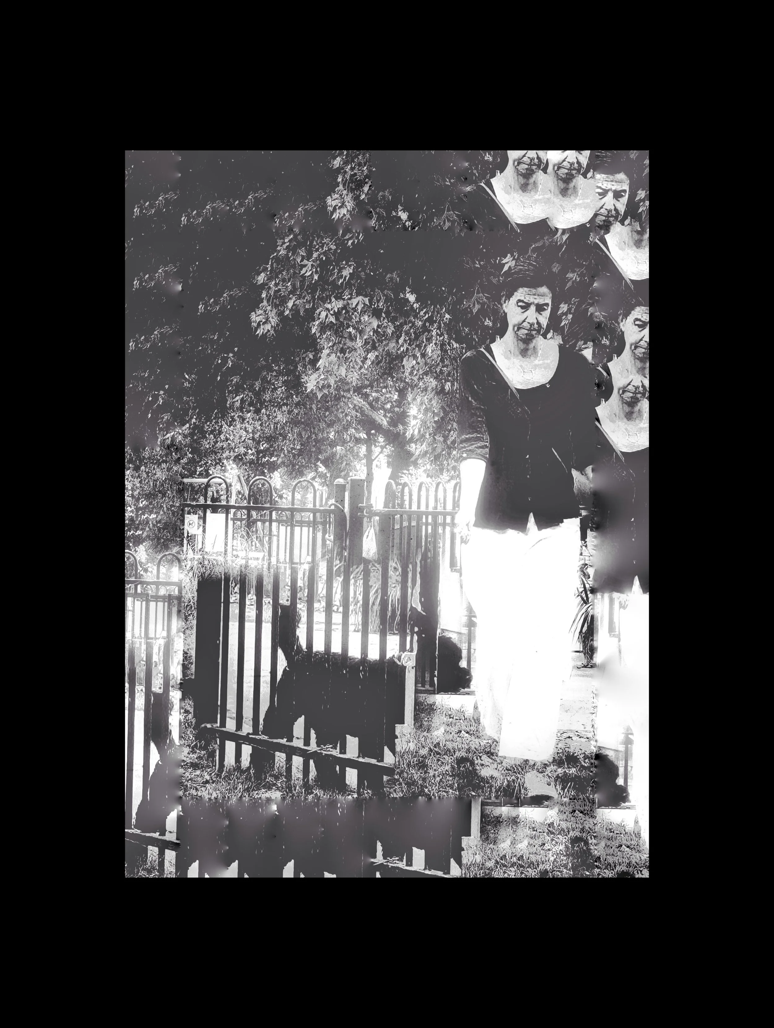 PXL_20250821_143636150~3 (2).jpg