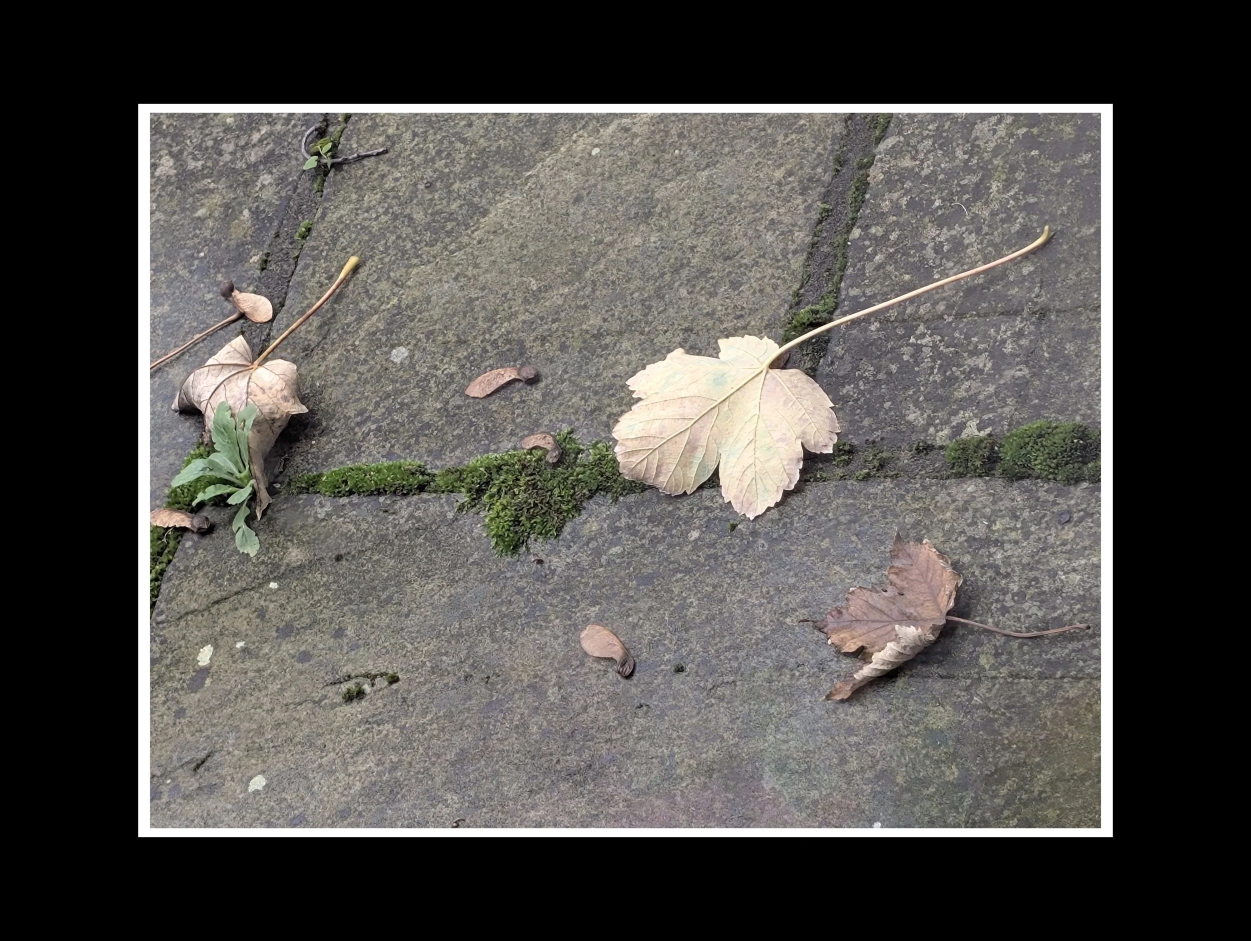 PXL_20251103_115335975 (1).jpg