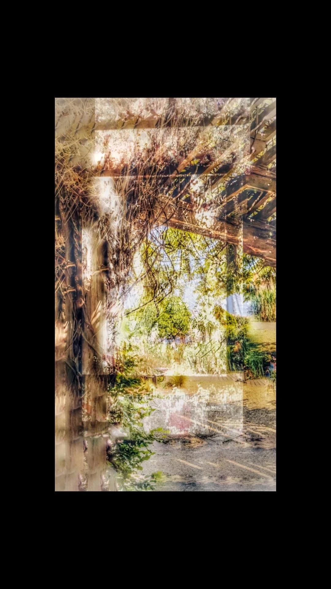 Copy of PXL_20250517_003118167.MP (3)_20250518012245184 (3) (1).jpg