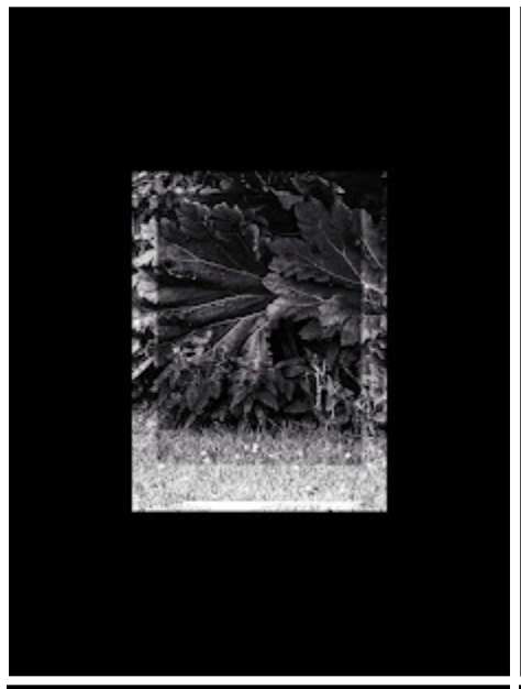 Screenshot 2026-01-07 at 16.14.16.png