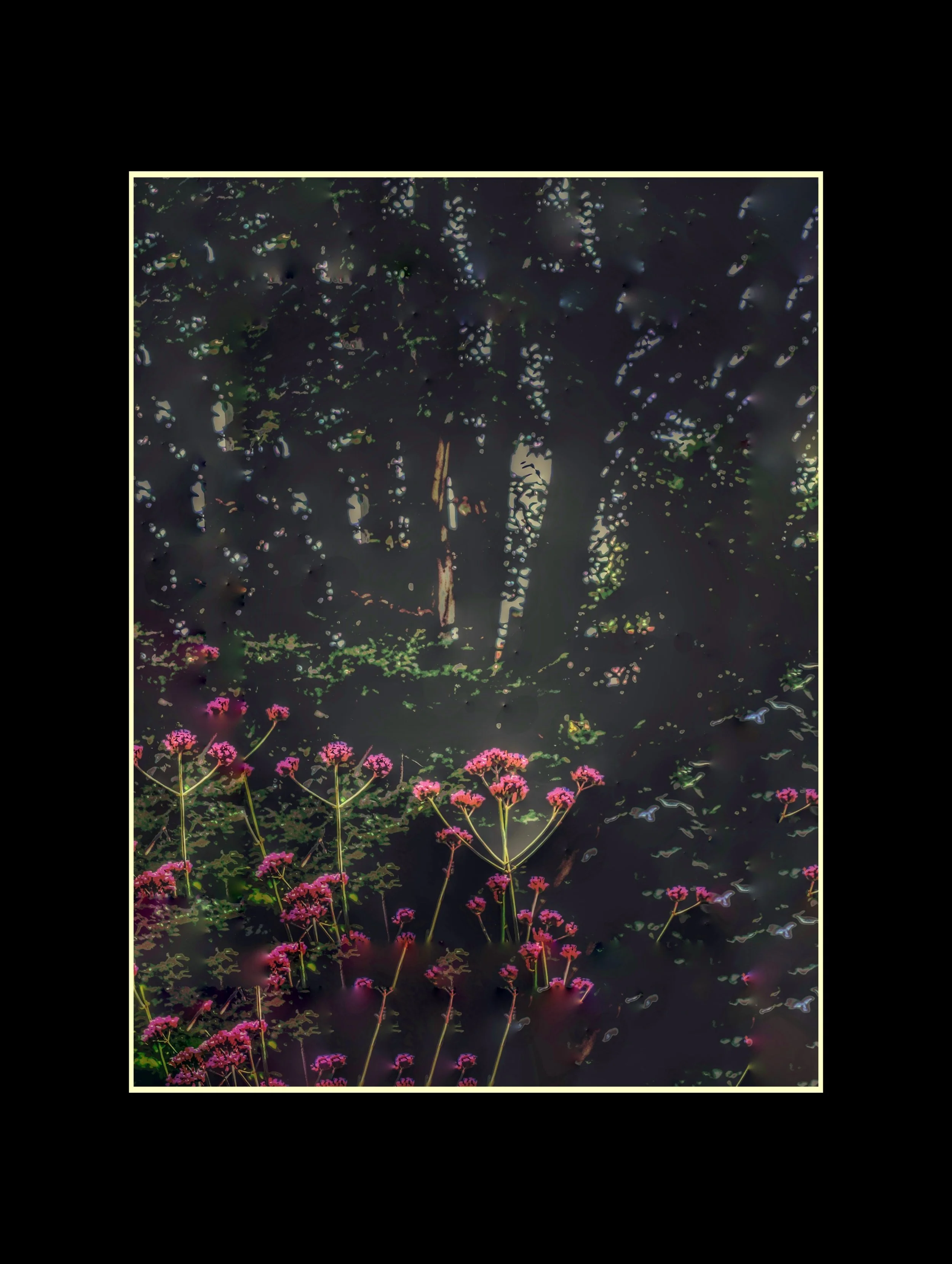 BOROUGH SECRET GARDEN