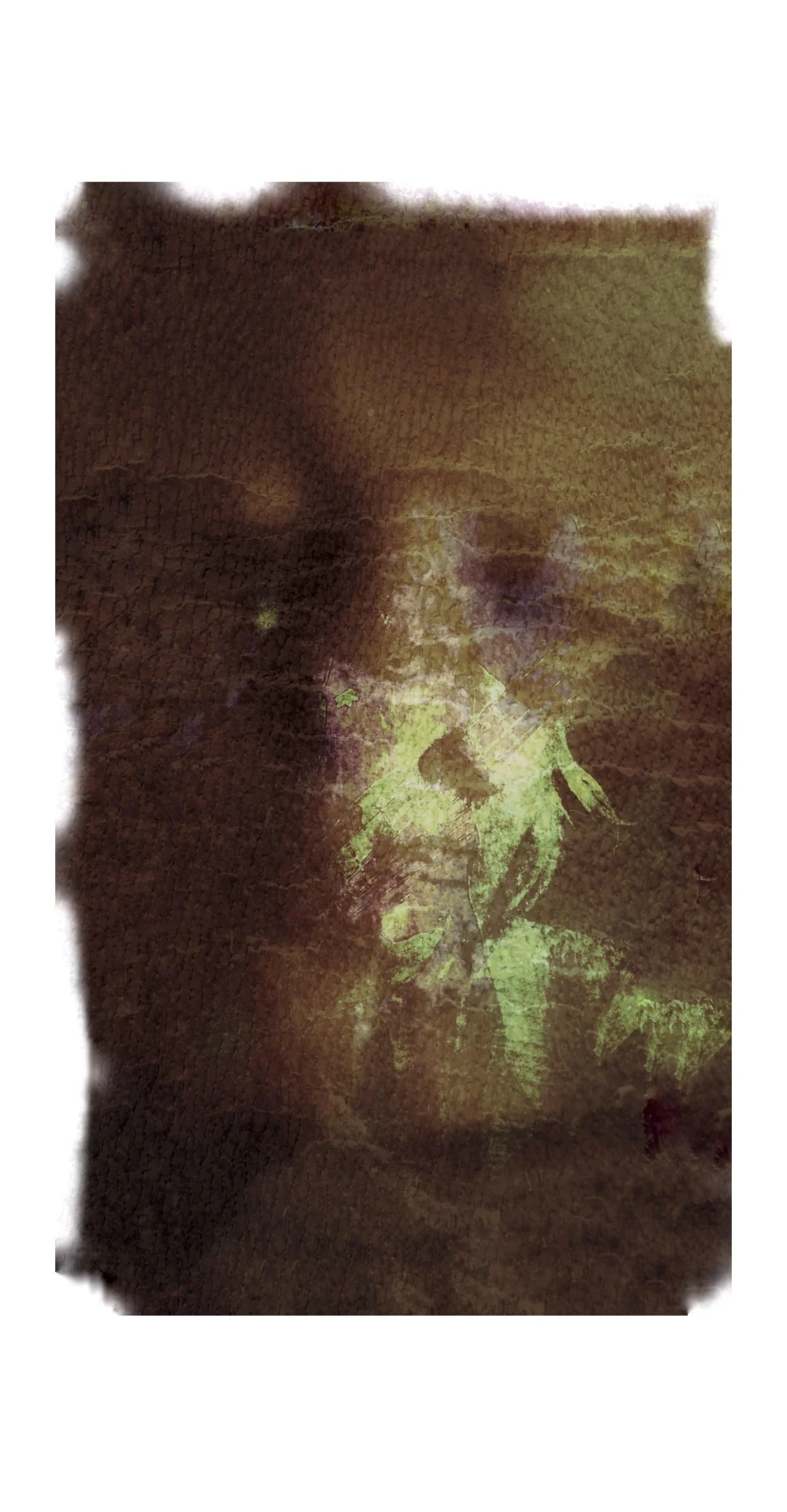 PXL_20250125_002838260.MP (2) (2) (2).jpg