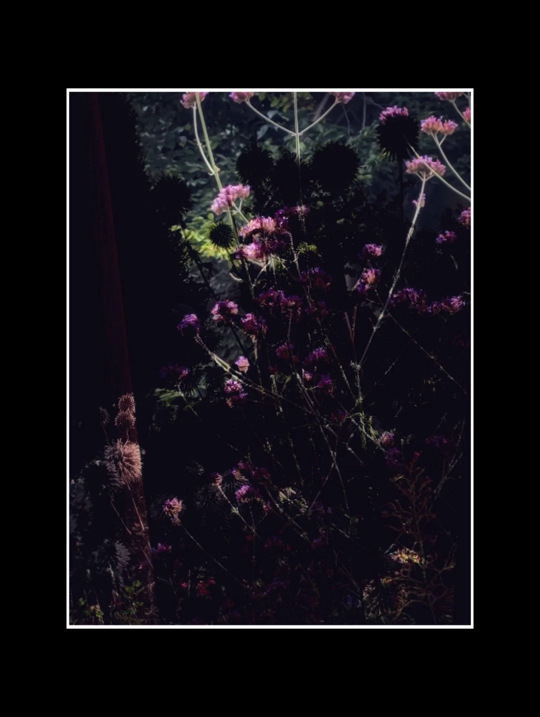 Copy of PXL_20250723_104722326.jpg