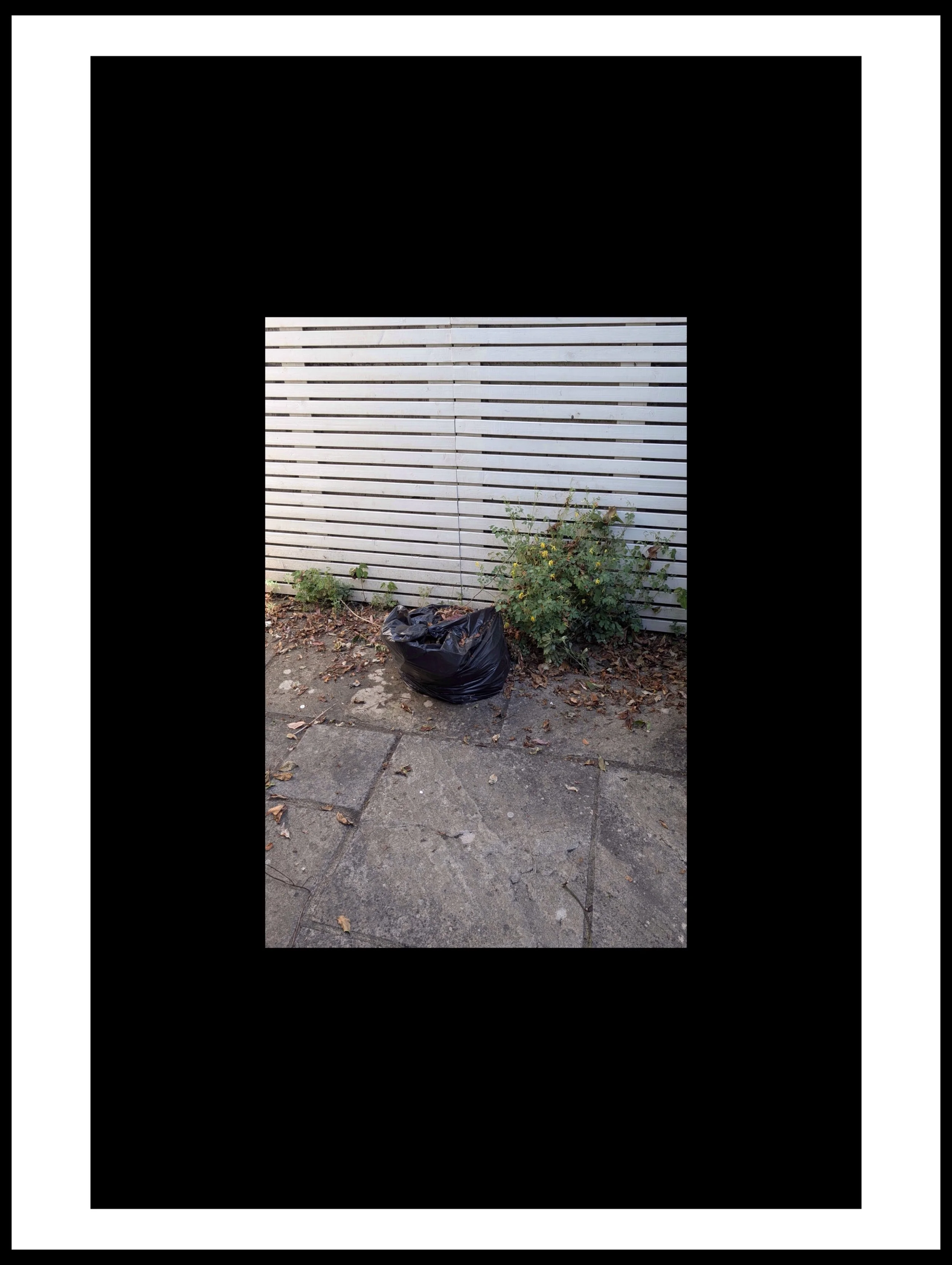 PXL_20250711_091412264 (1) (1).jpg