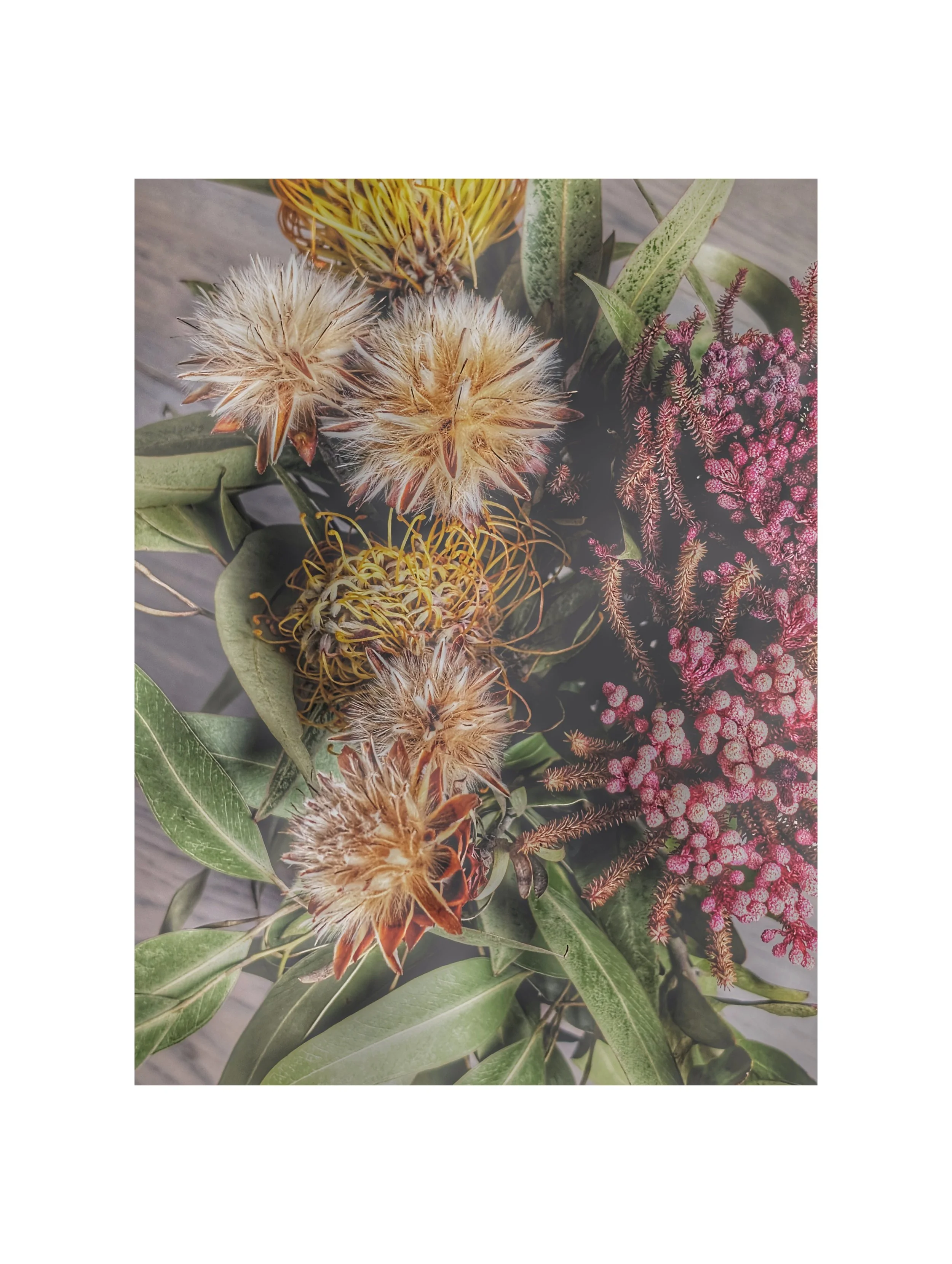 PXL_20251103_114952392 (1).jpg