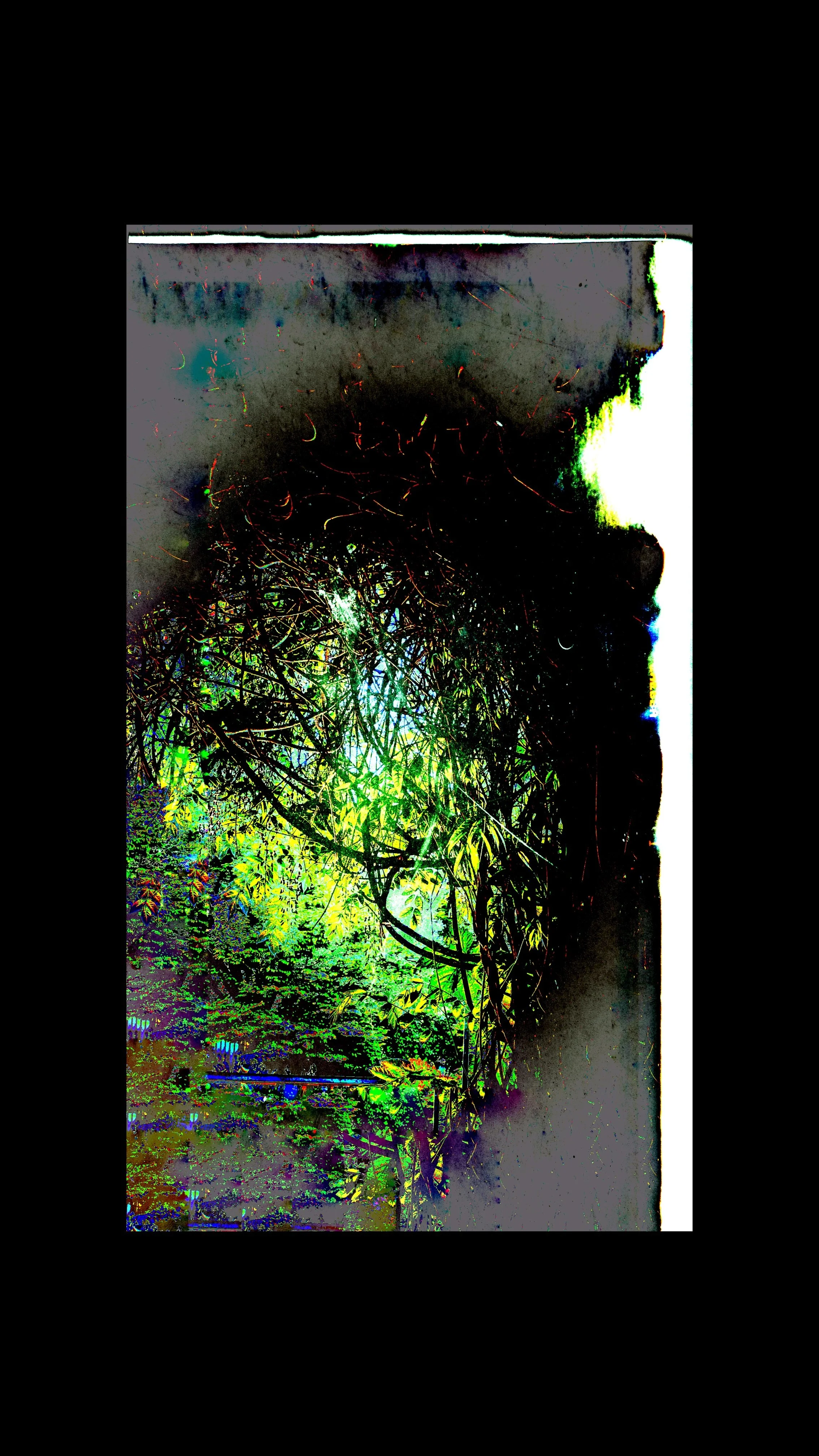 Copy of PXL_20250430_110144130.MP (1).jpg