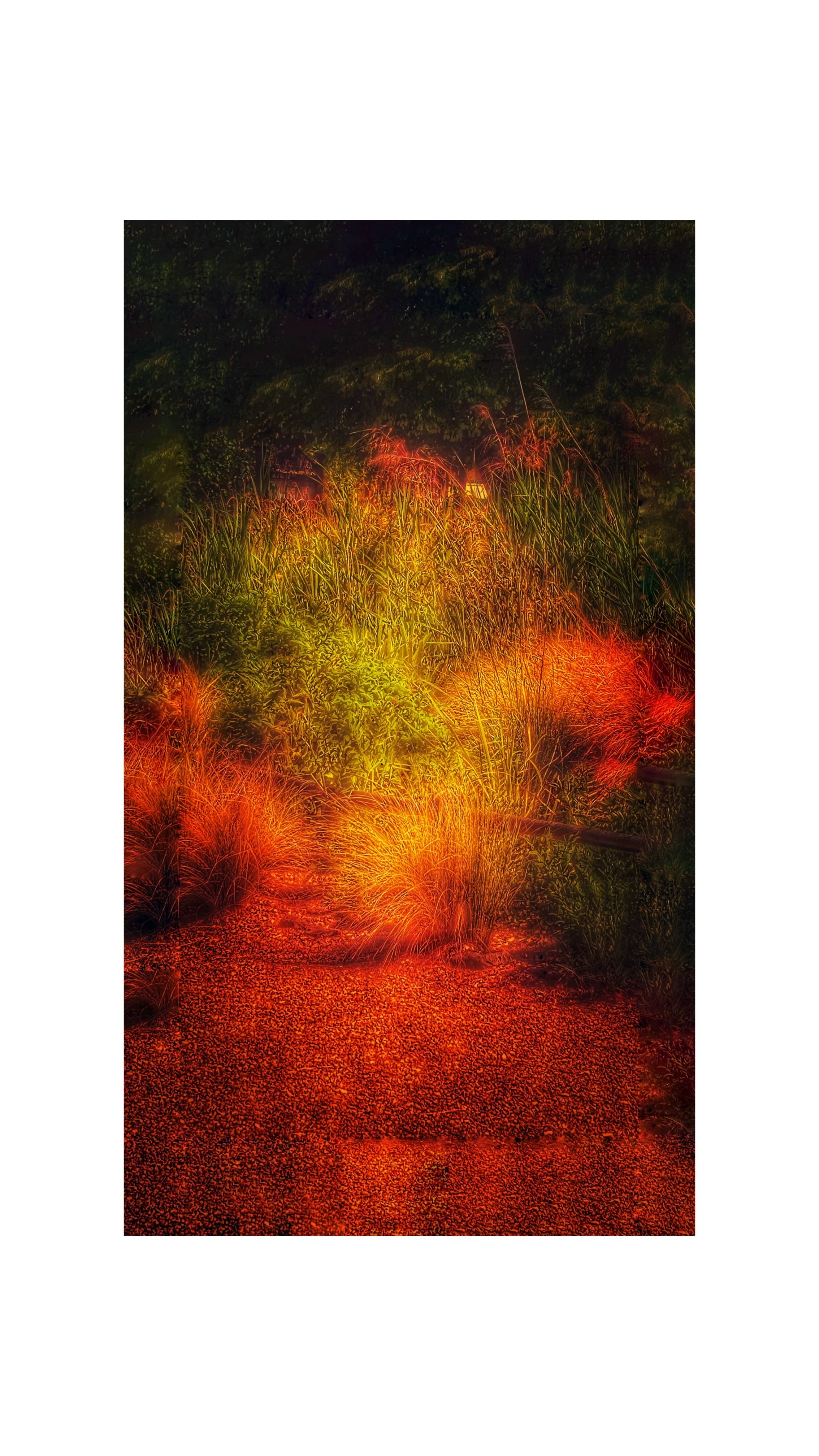 Copy of PXL_20250514_105941039.MP (3).jpg