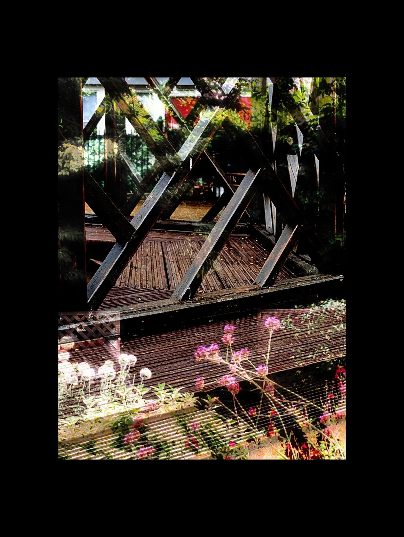 Copy of PXL_20250723_105251021.jpg