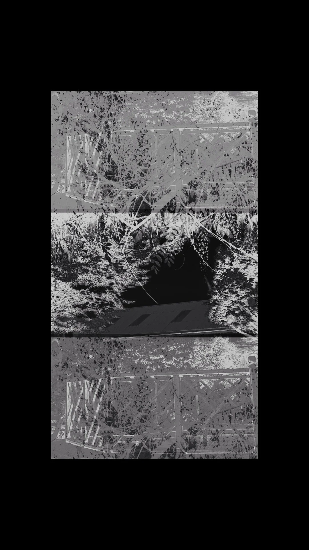 Copy of PXL_20250430_110104610.MP (4).jpg