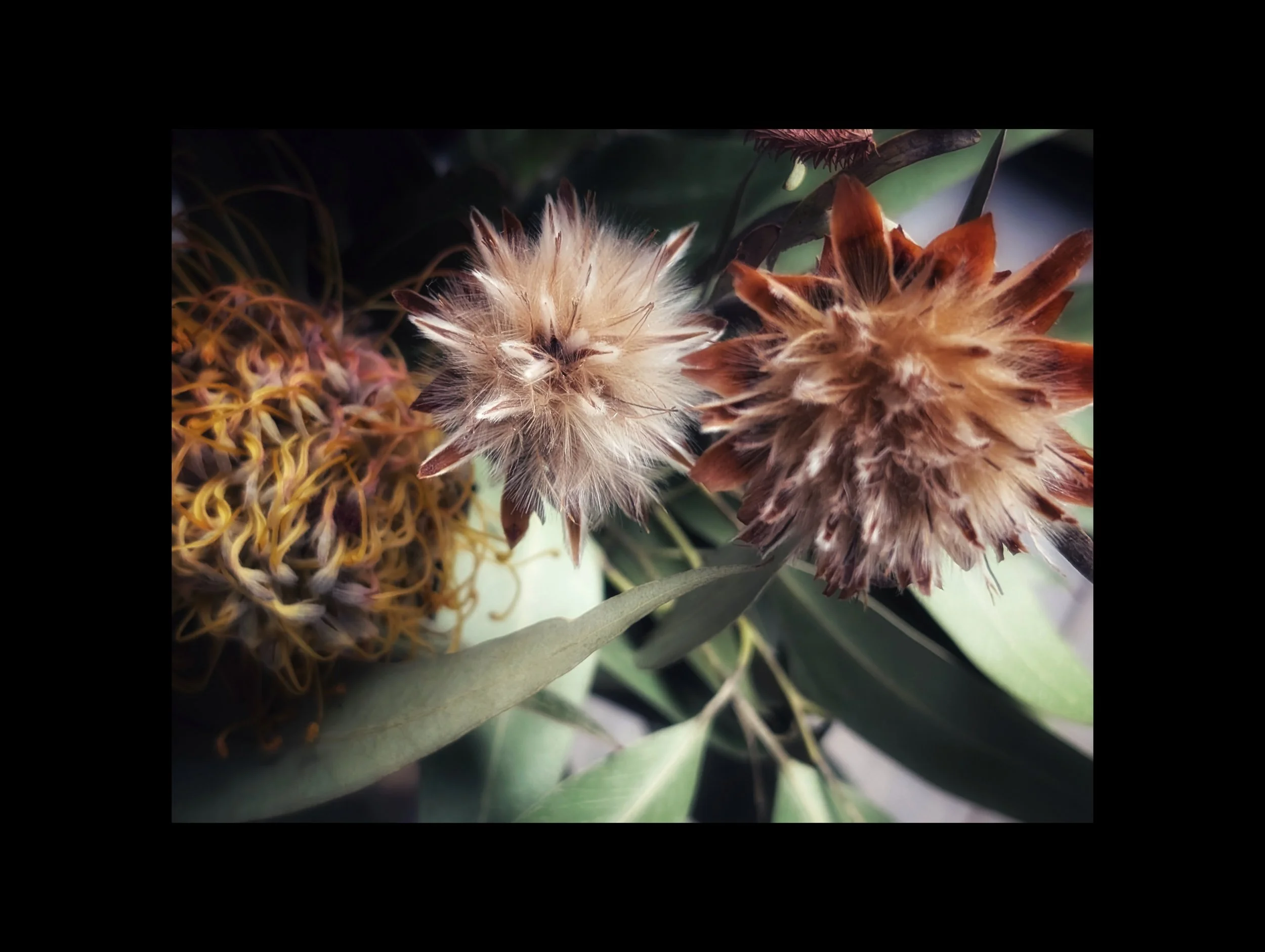 PXL_20251103_115037074 (1).jpg