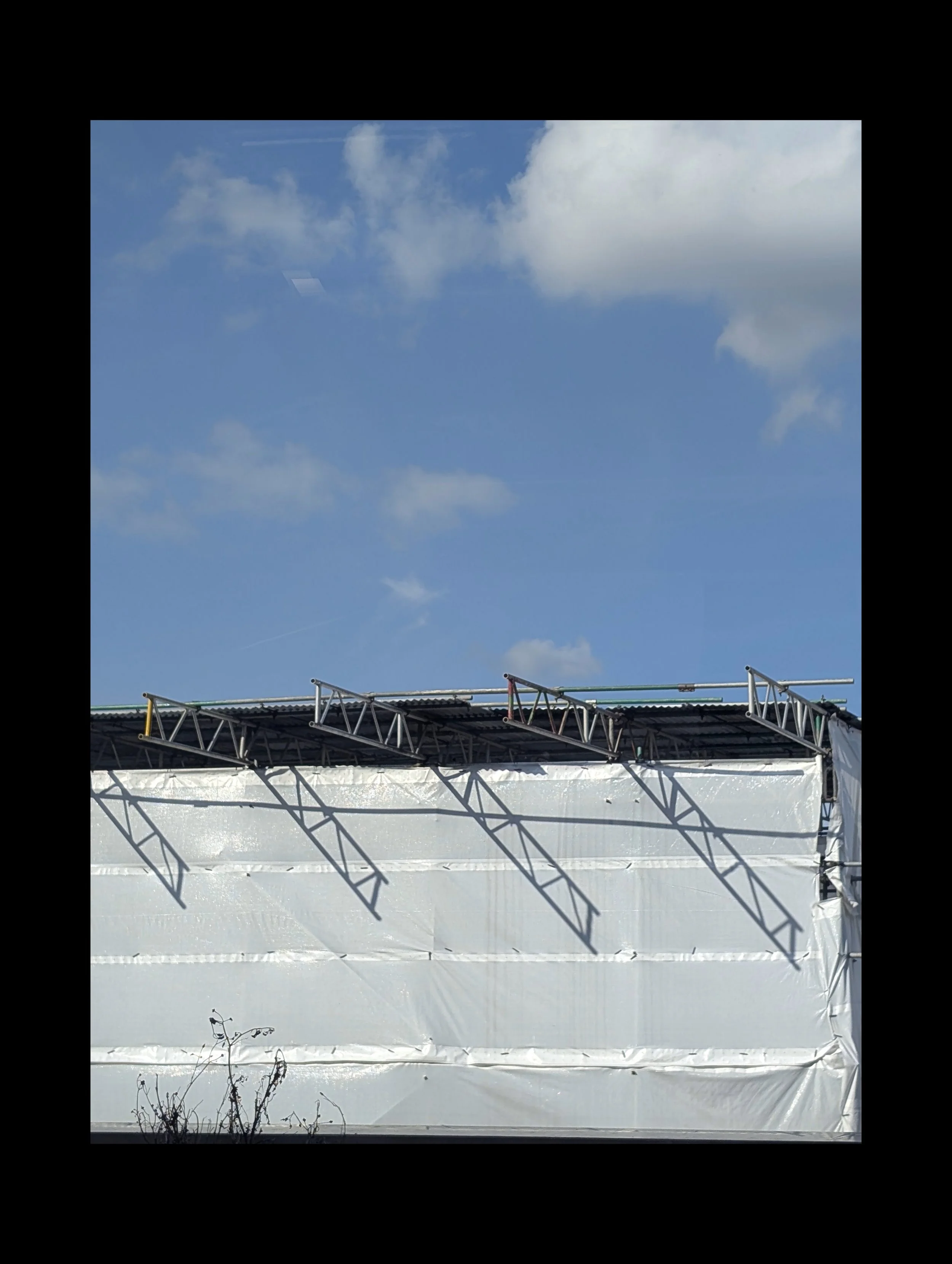 PXL_20250929_142515121 (1).jpg