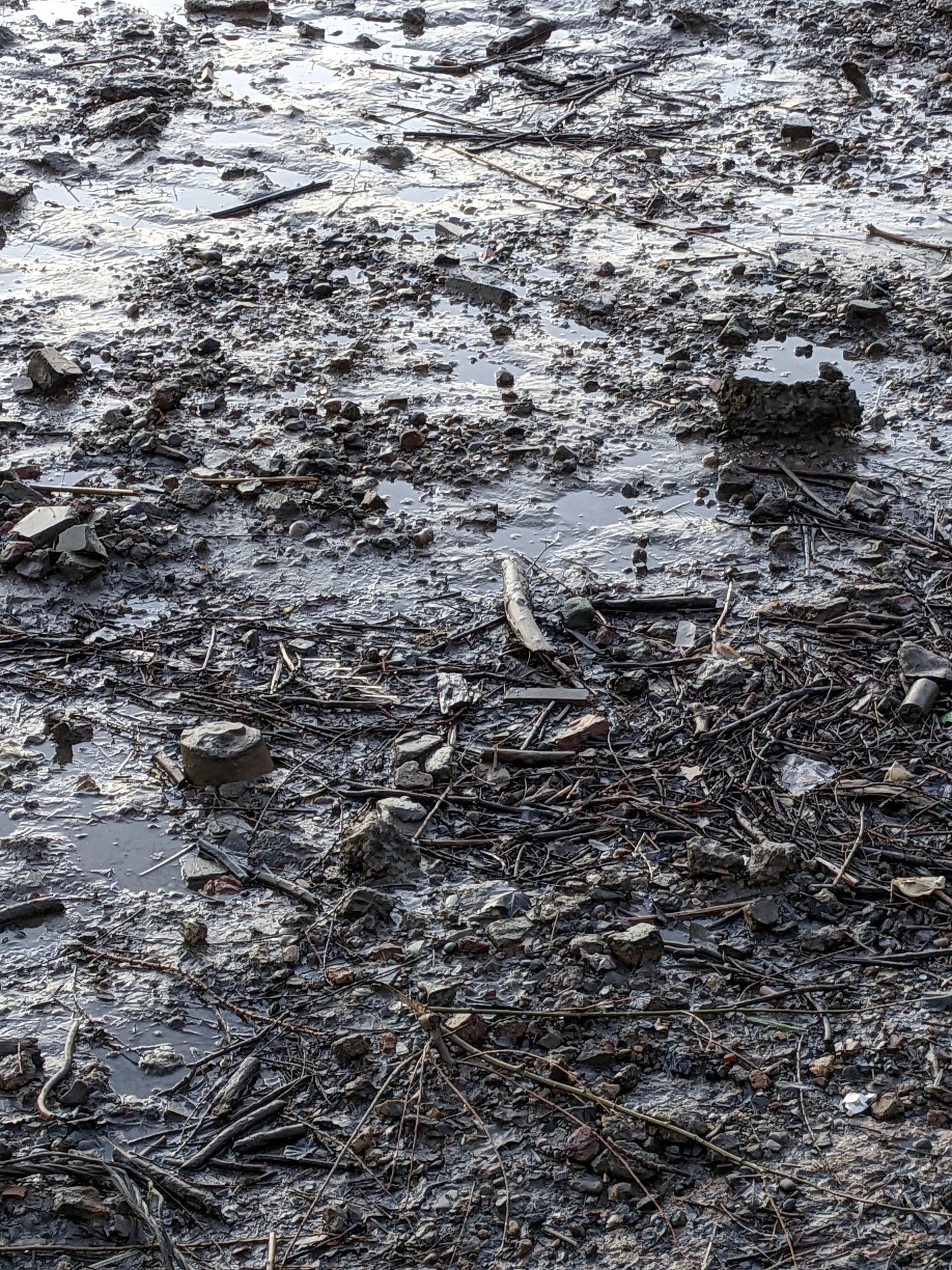 Copy of PXL_20230206_170448556.jpg