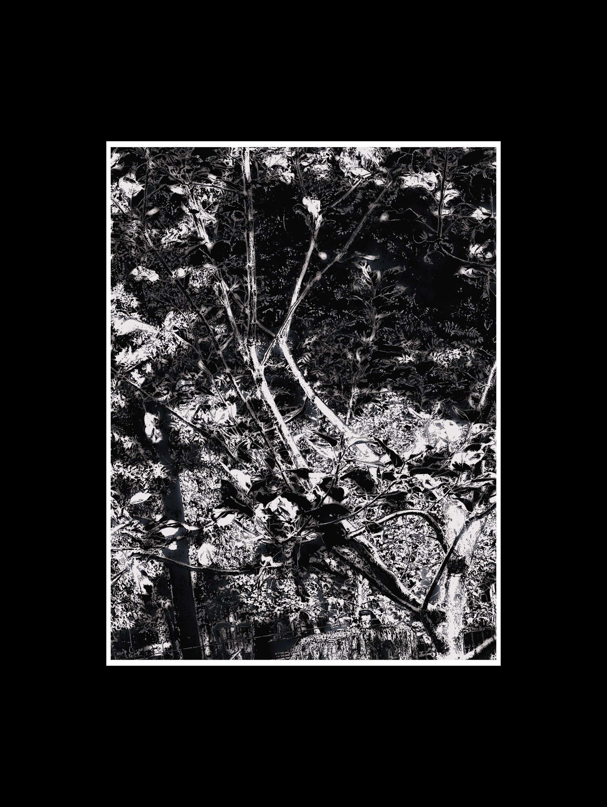 PXL_20250821_143250700 (1).jpg