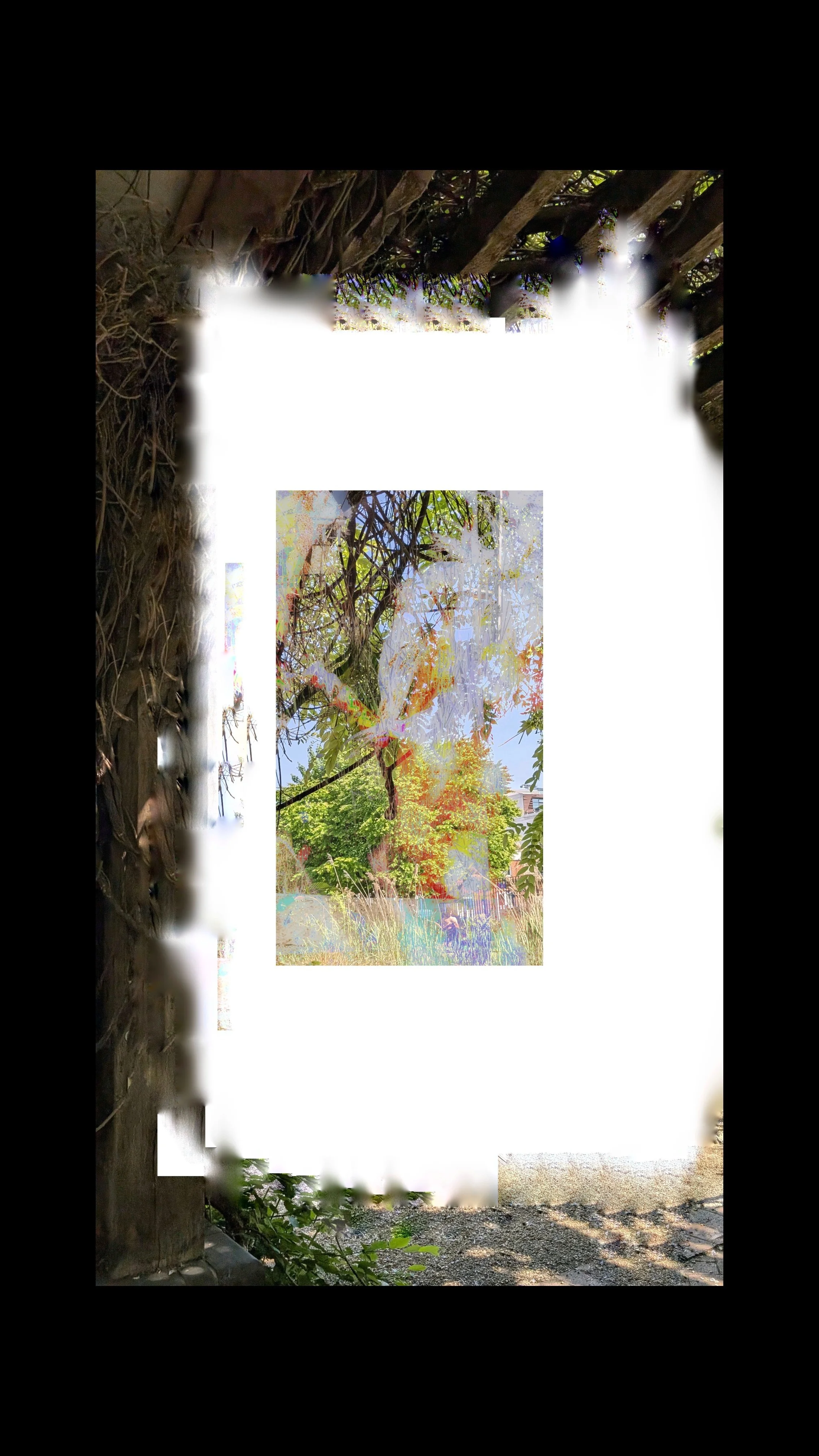 Copy of PXL_20250430_110208748.MP (2) (1).jpg