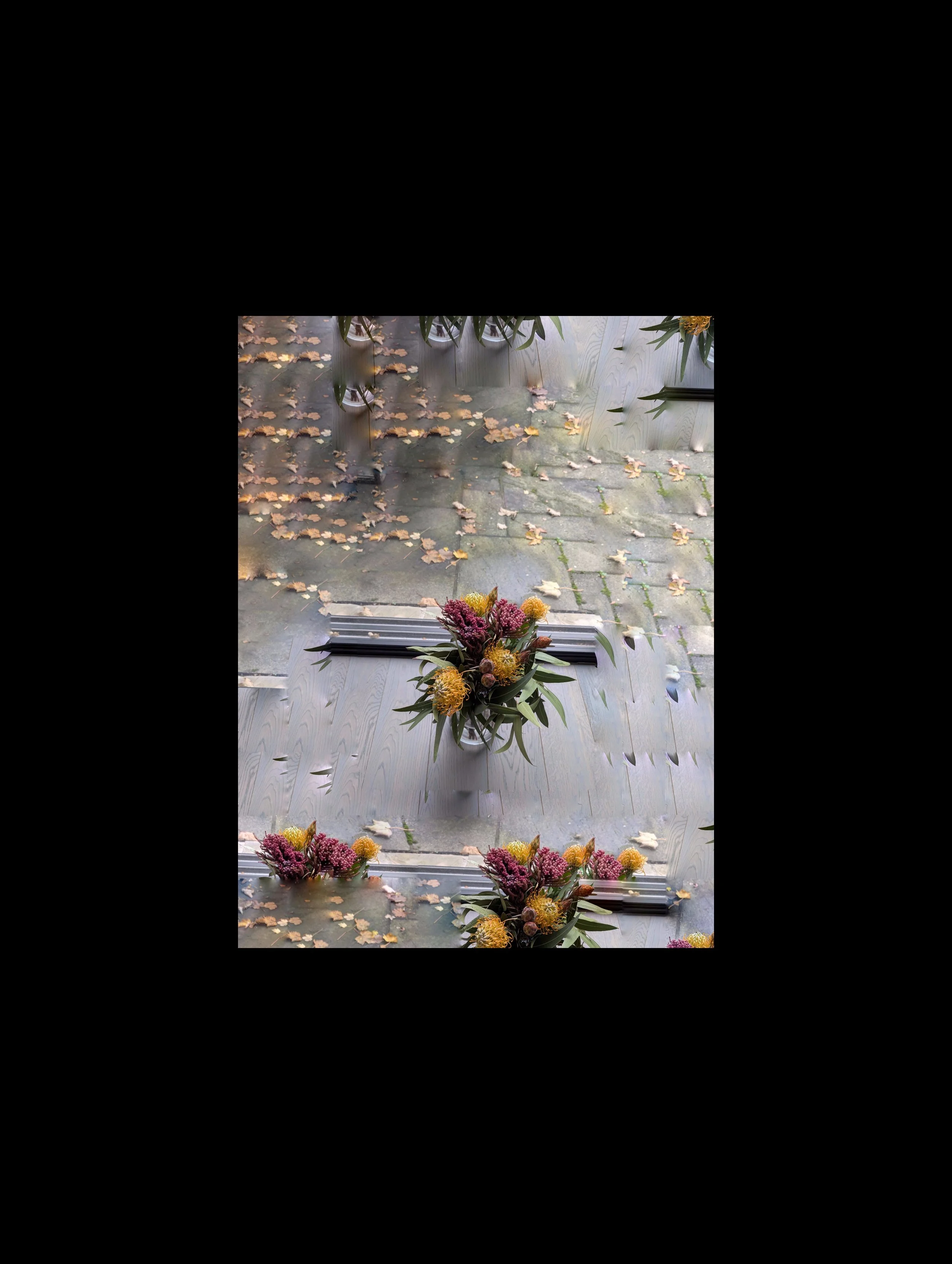 PXL_20251022_071833117.MP (3).jpg