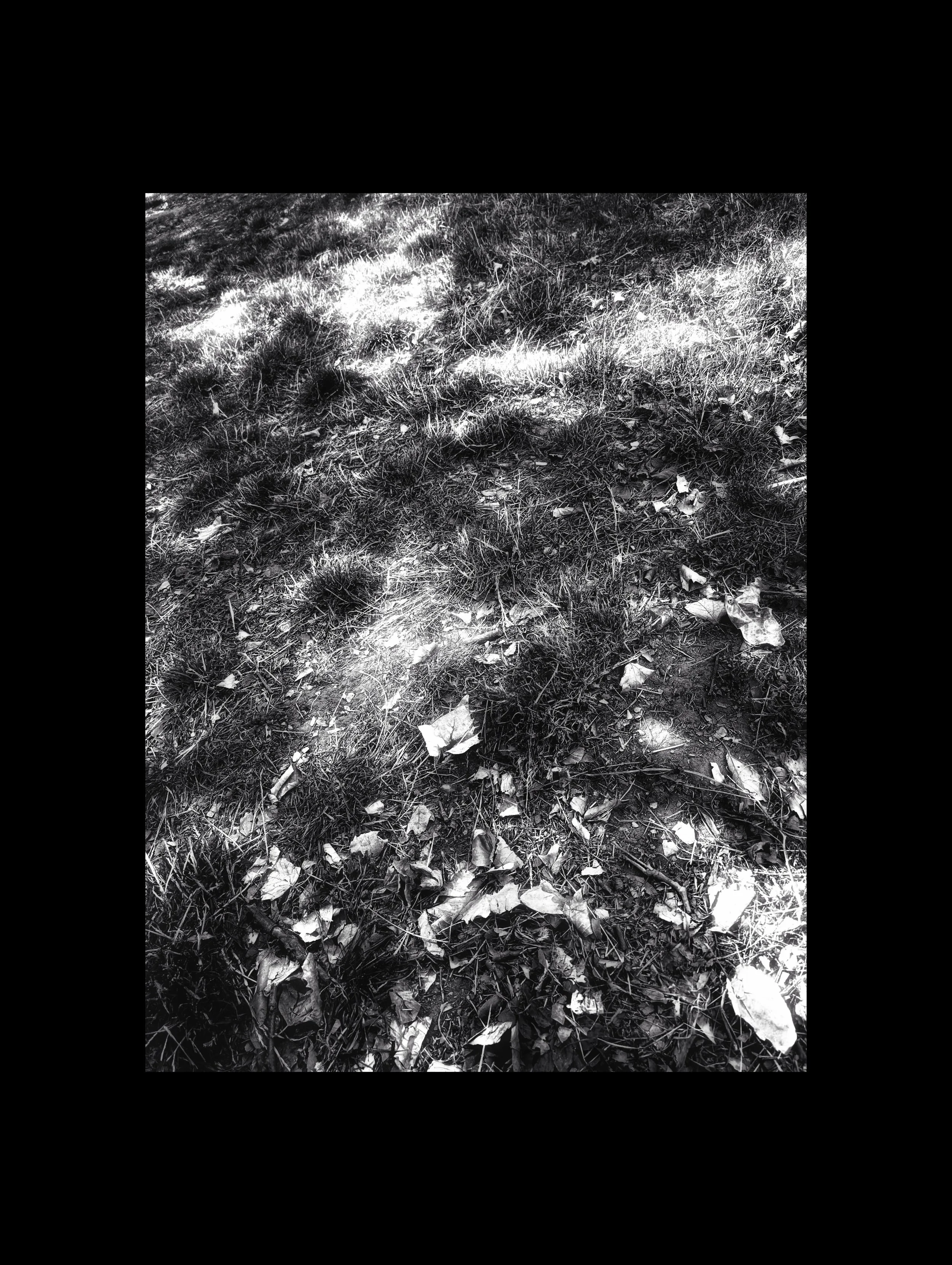 PXL_20250821_144009463 (1).jpg