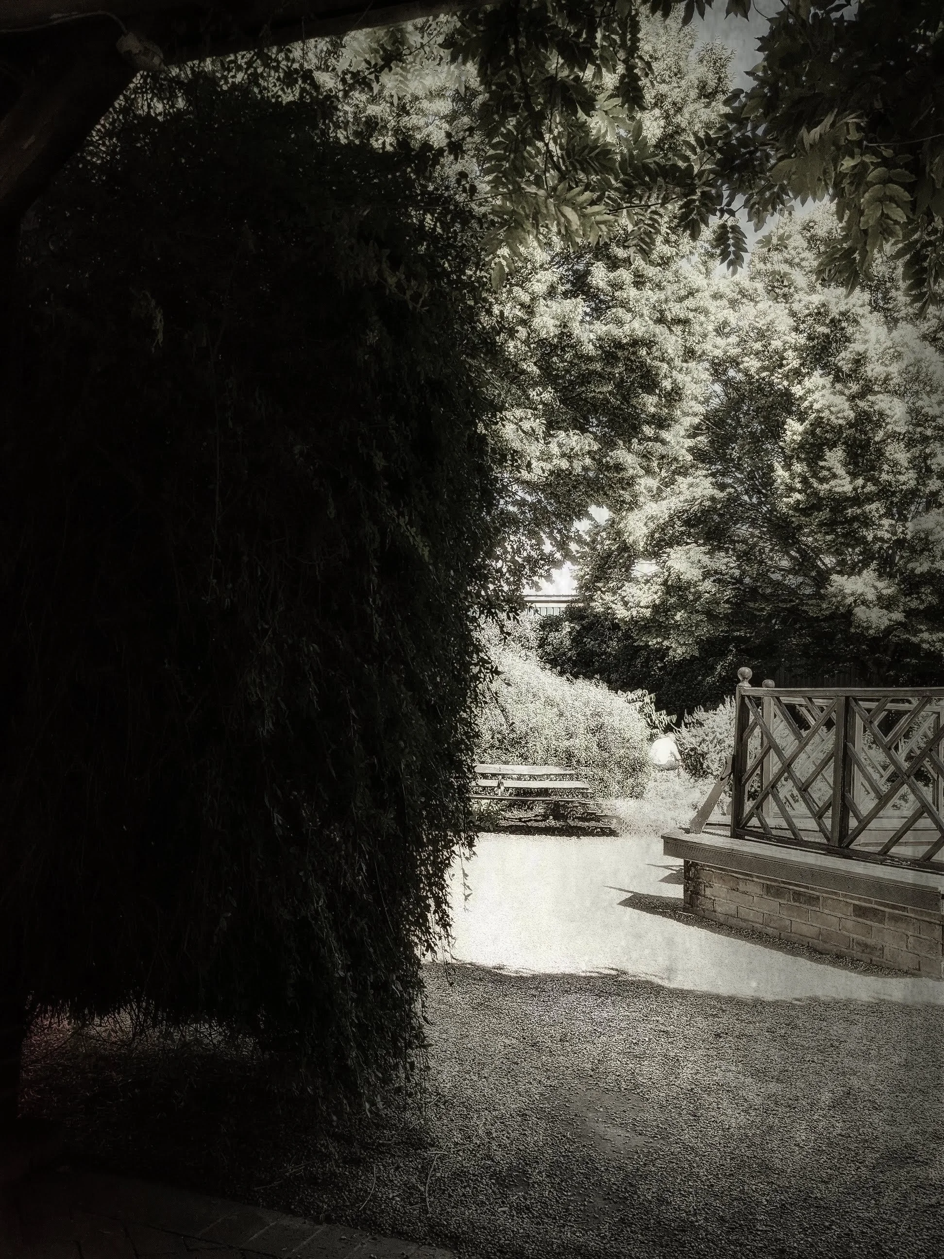 Copy of 1693214504534.jpg