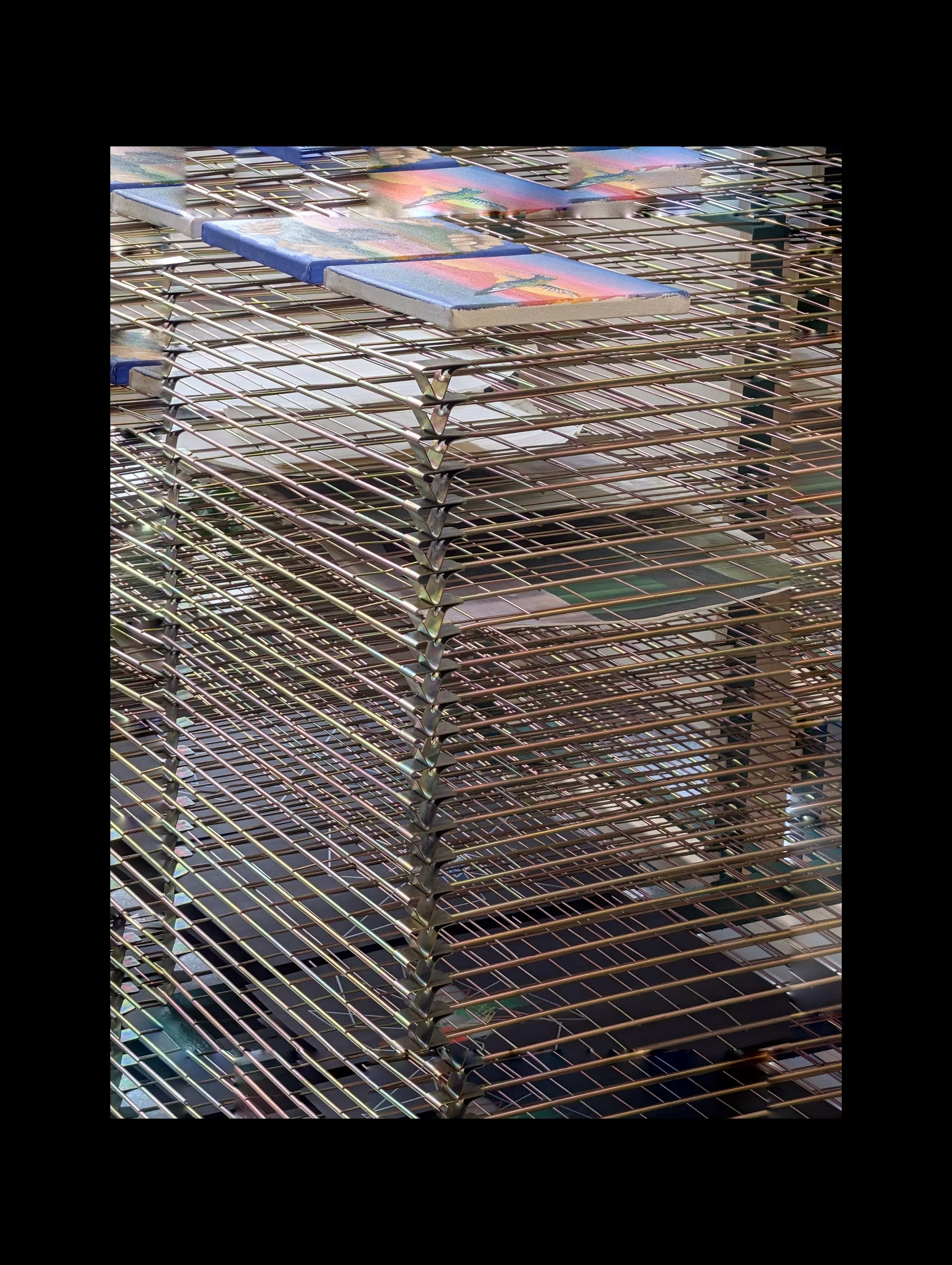 PXL_20251209_131423587 (1).jpg