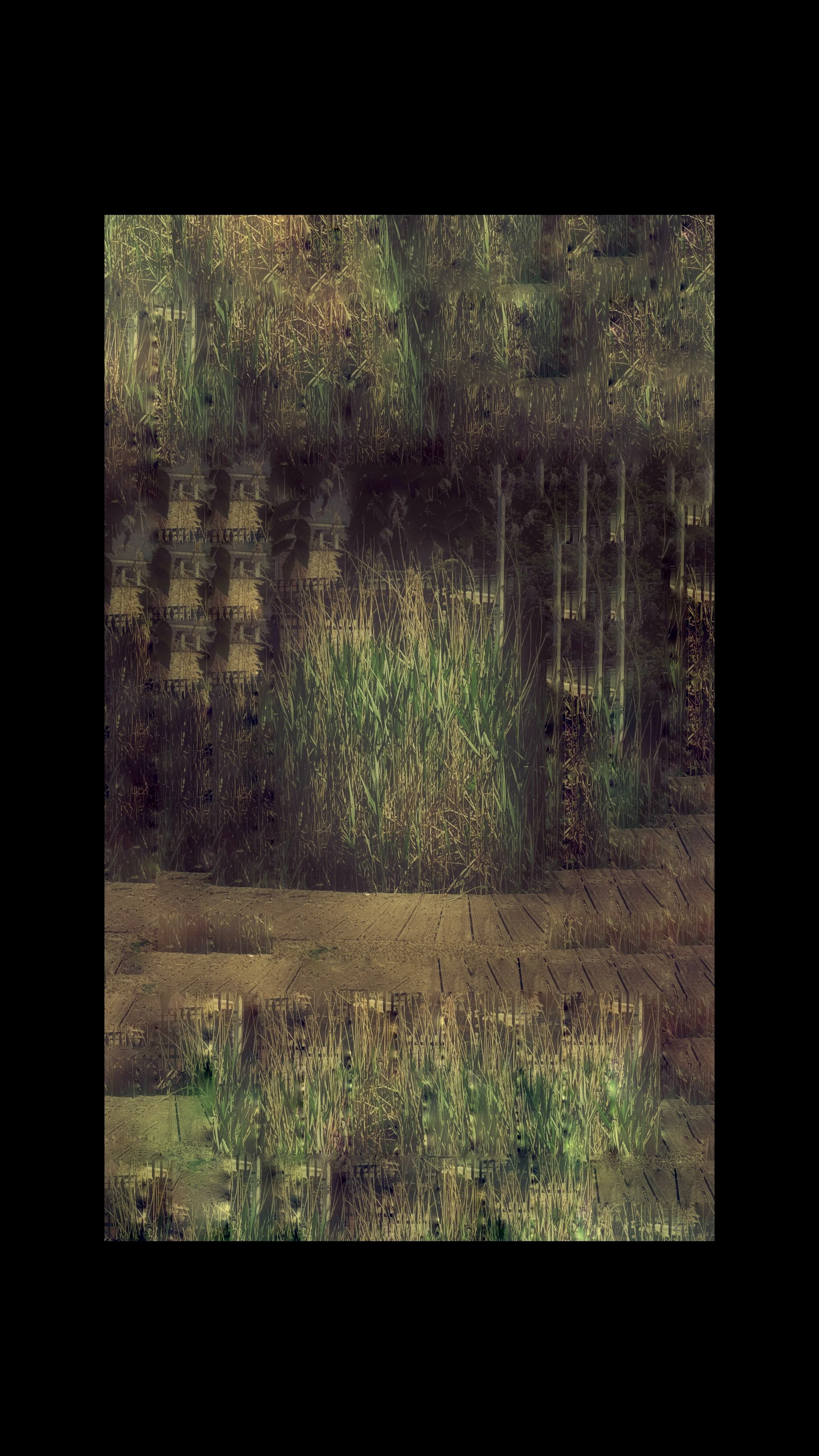 Copy of PXL_20250430_110208748.MP~2.jpg