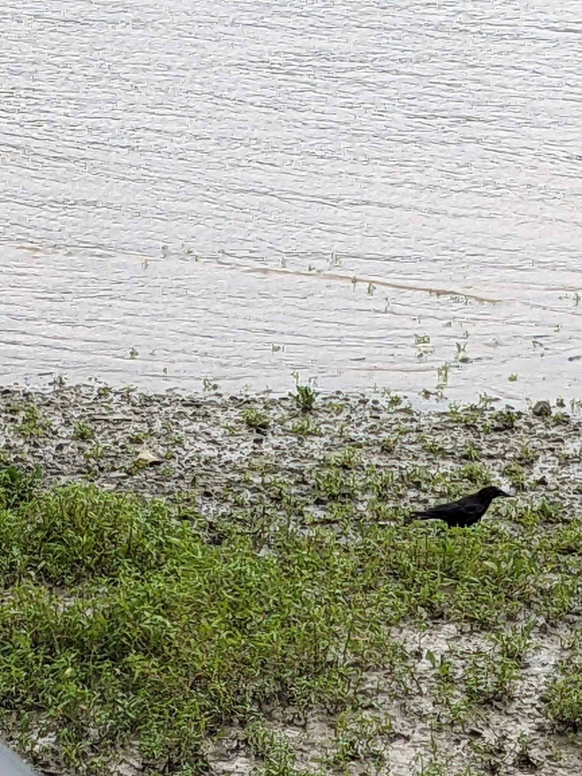 Copy of PXL_20230720_180635054.jpg