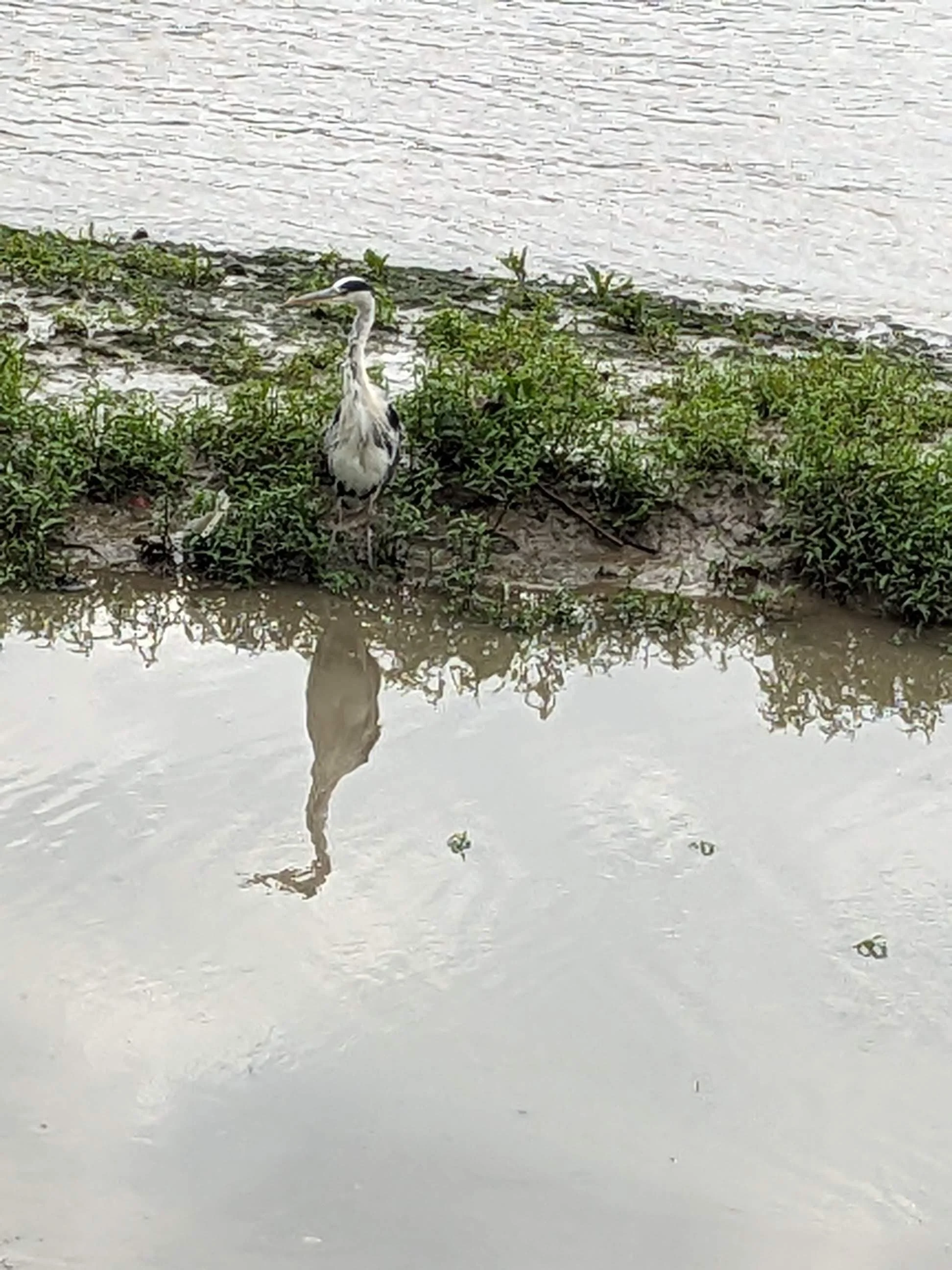 Copy of PXL_20230720_180803265.jpg