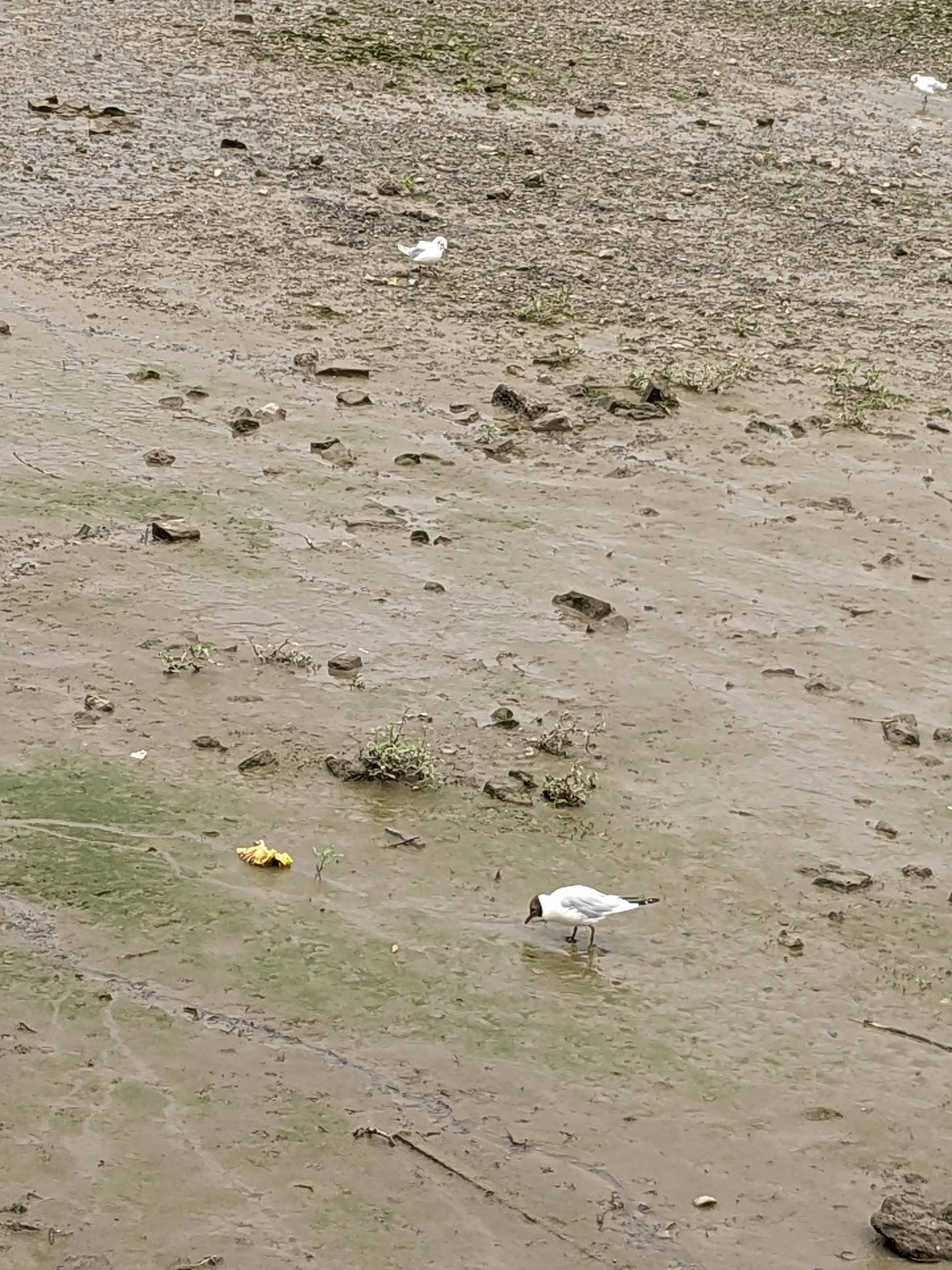 Copy of PXL_20230805_130739037.jpg