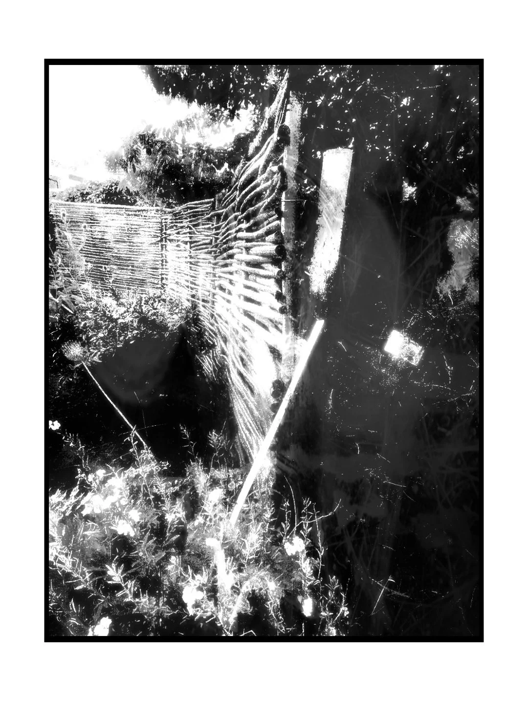 PXL_20250804_183106247_20250822001135360 (1).jpg