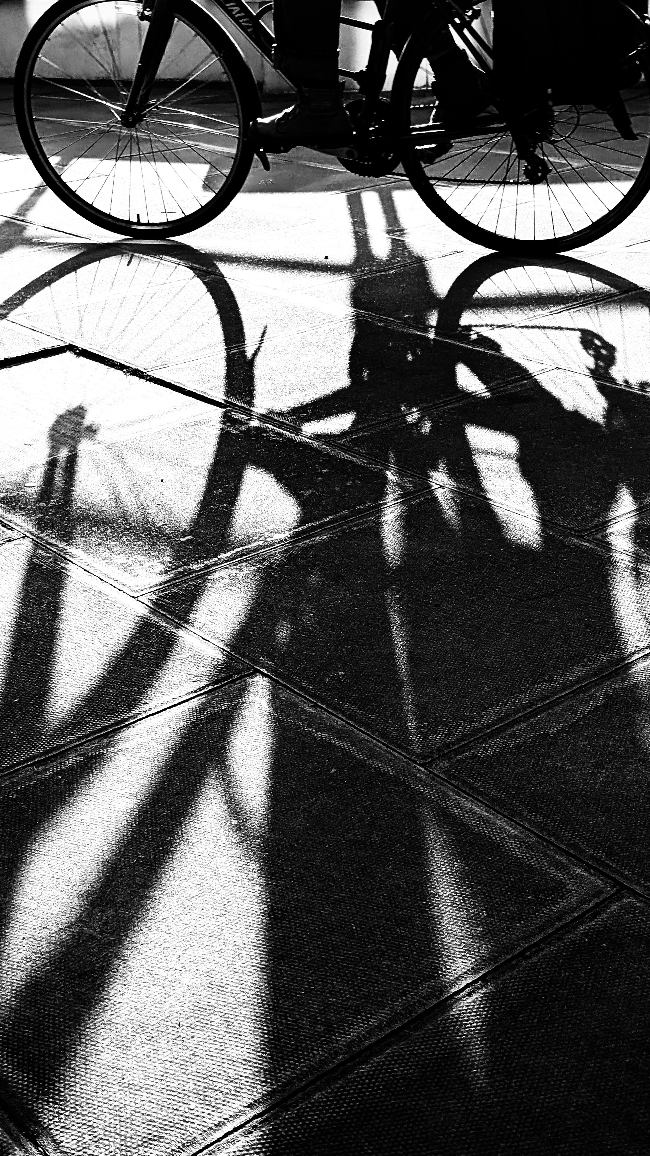 Copy of Pathway 9.jpg