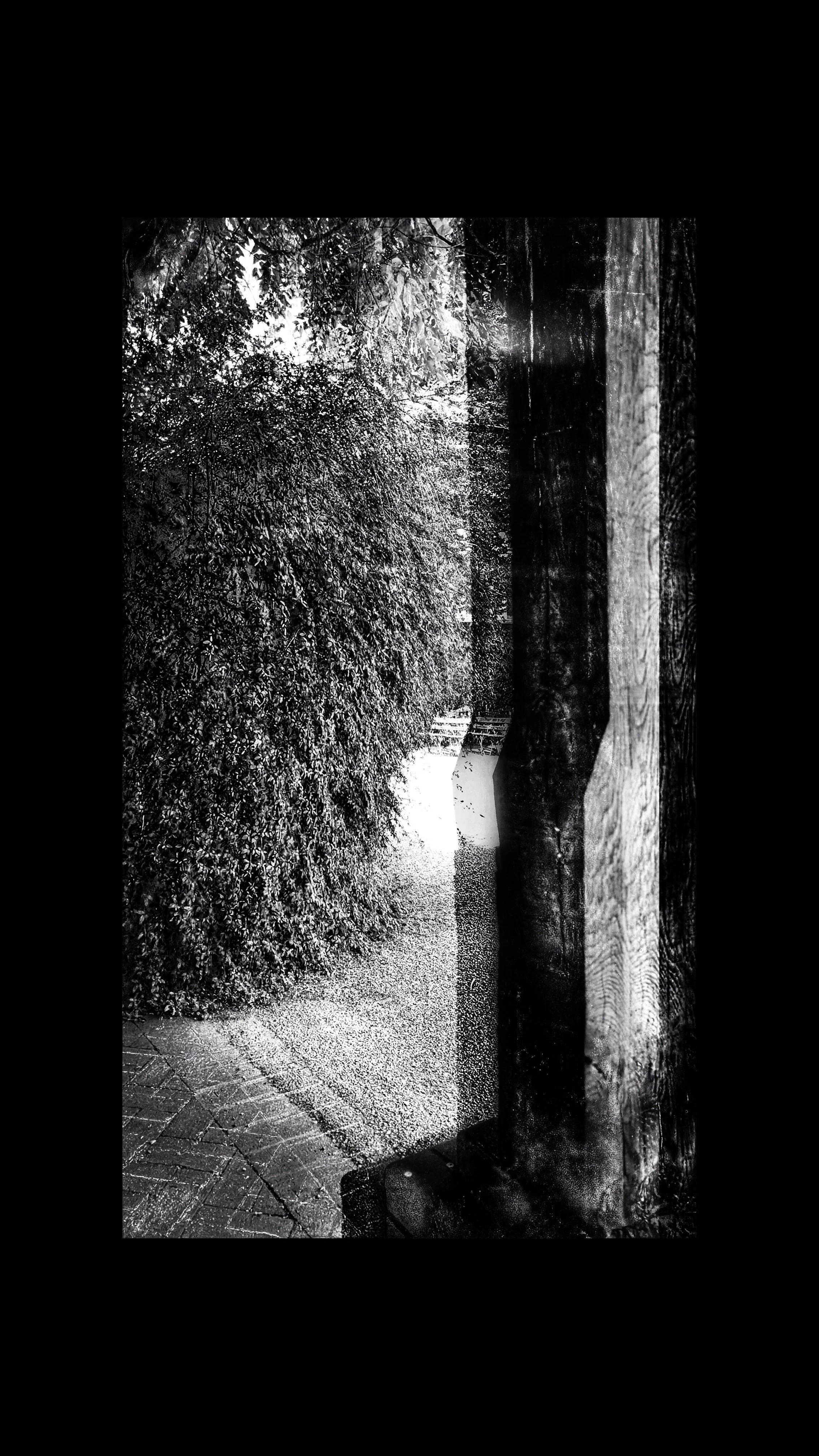 Copy of PXL_20250514_110137702.MP (1) (1).jpg